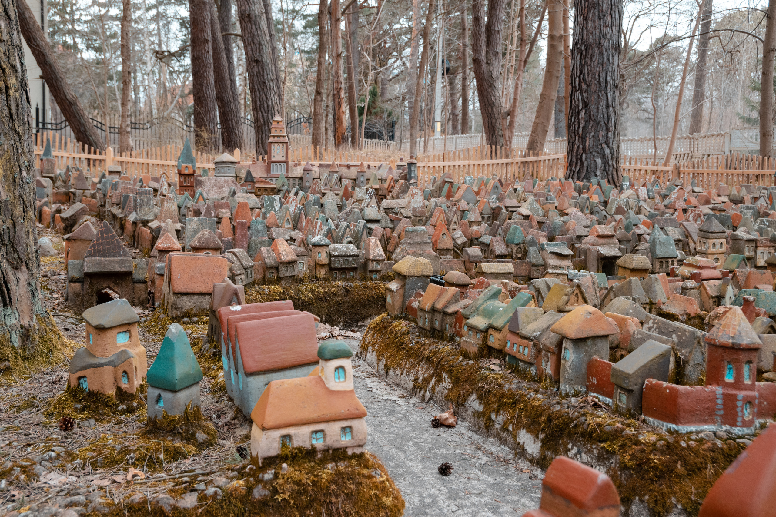 Поездка в Калининград. Фотограф людей и животных в Санкт-Петербурге Марина Бурмистрова