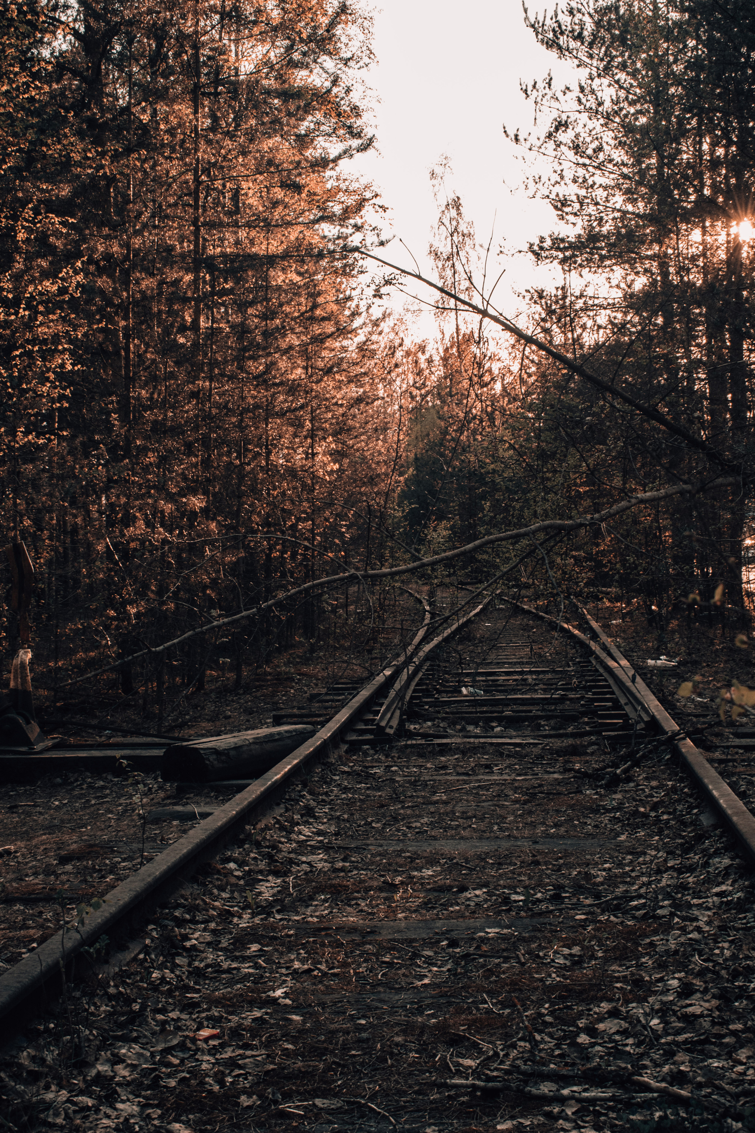 Весна 2019. Фотограф людей и животных в Санкт-Петербурге Марина Бурмистрова