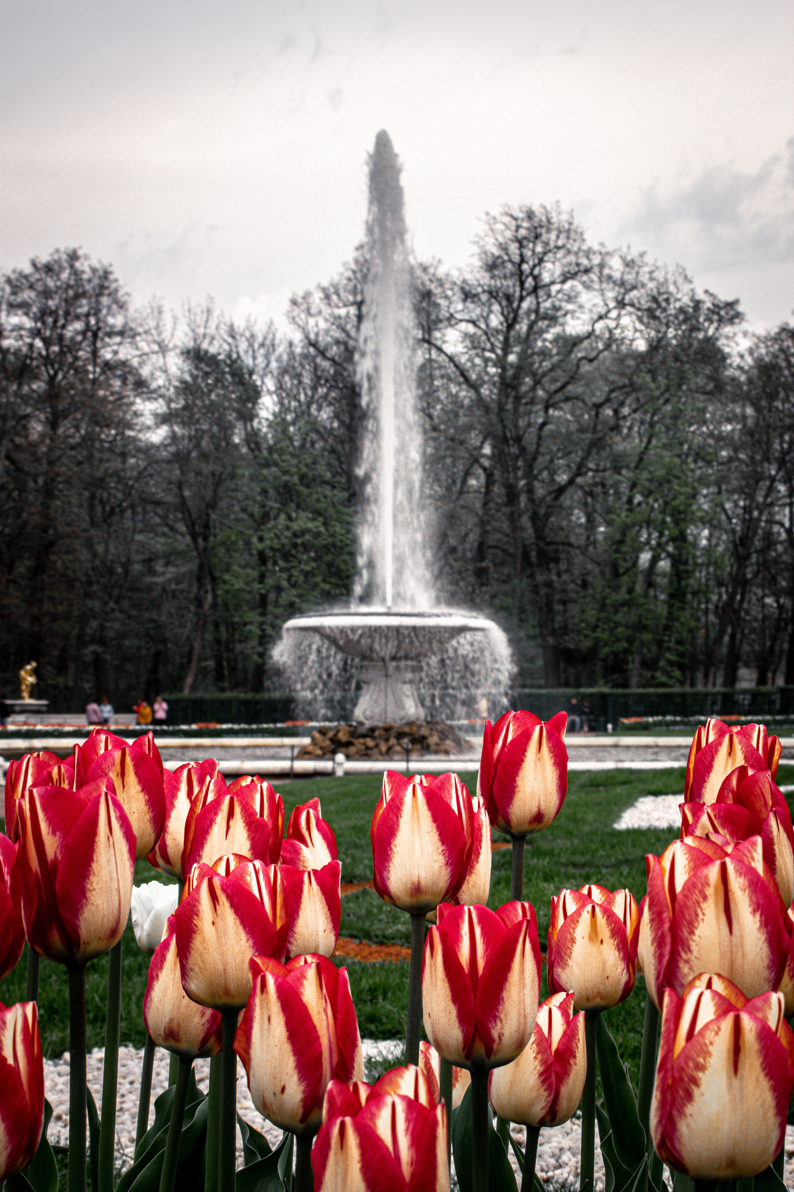 Весна 2019. Фотограф людей и животных в Санкт-Петербурге Марина Бурмистрова