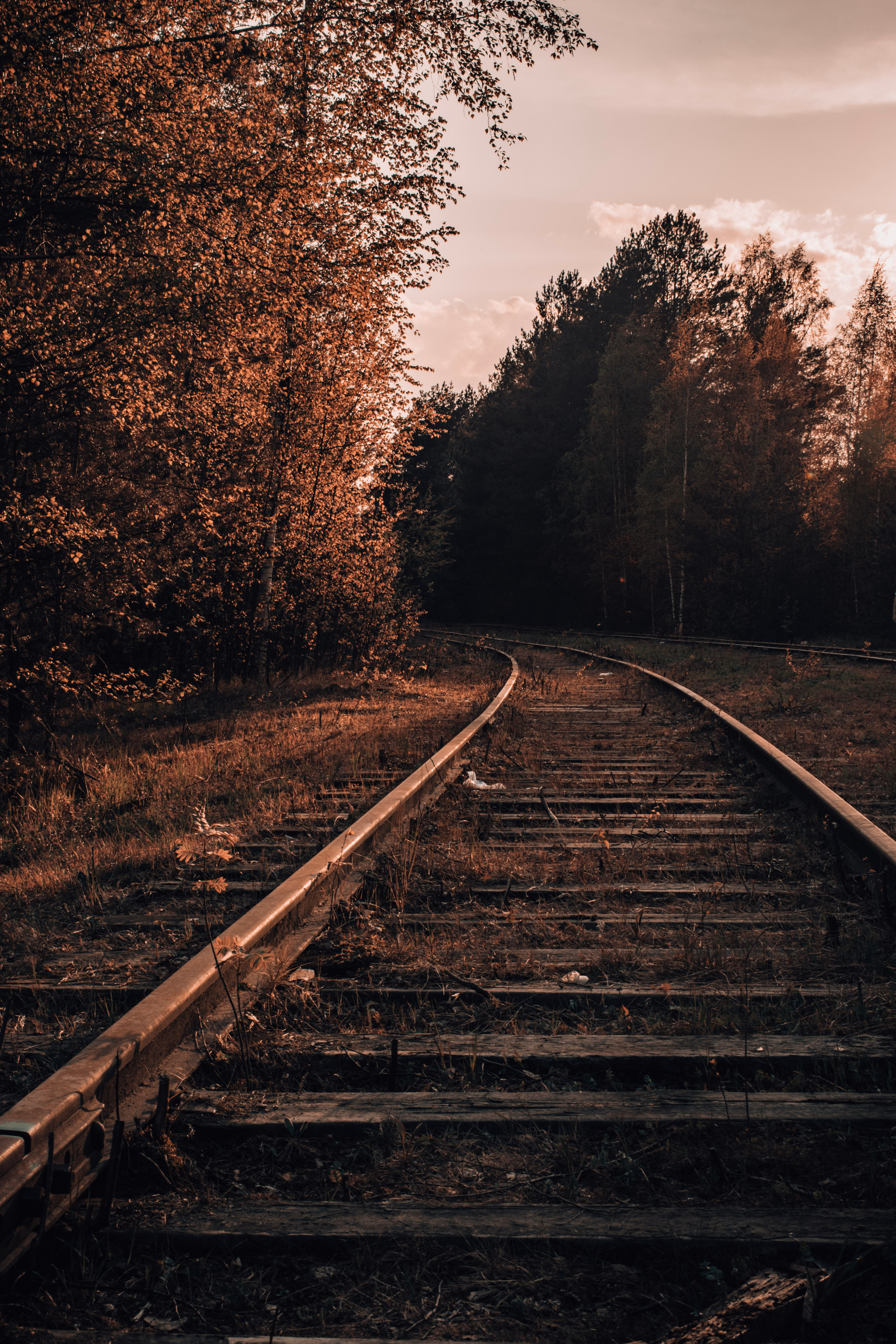 Весна 2019. Фотограф людей и животных в Санкт-Петербурге Марина Бурмистрова