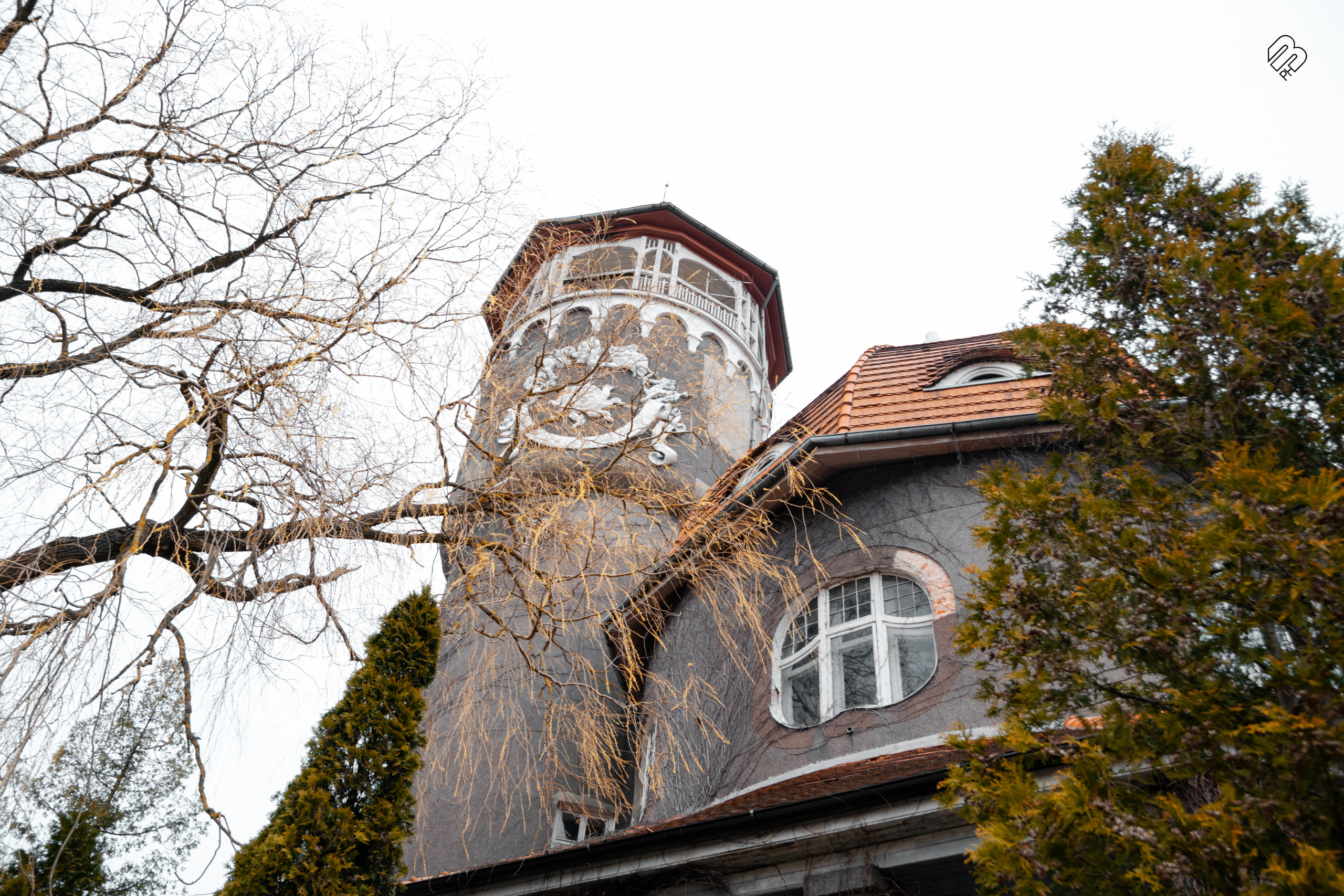 Поездка в Калининград. Фотограф людей и животных в Санкт-Петербурге Марина Бурмистрова