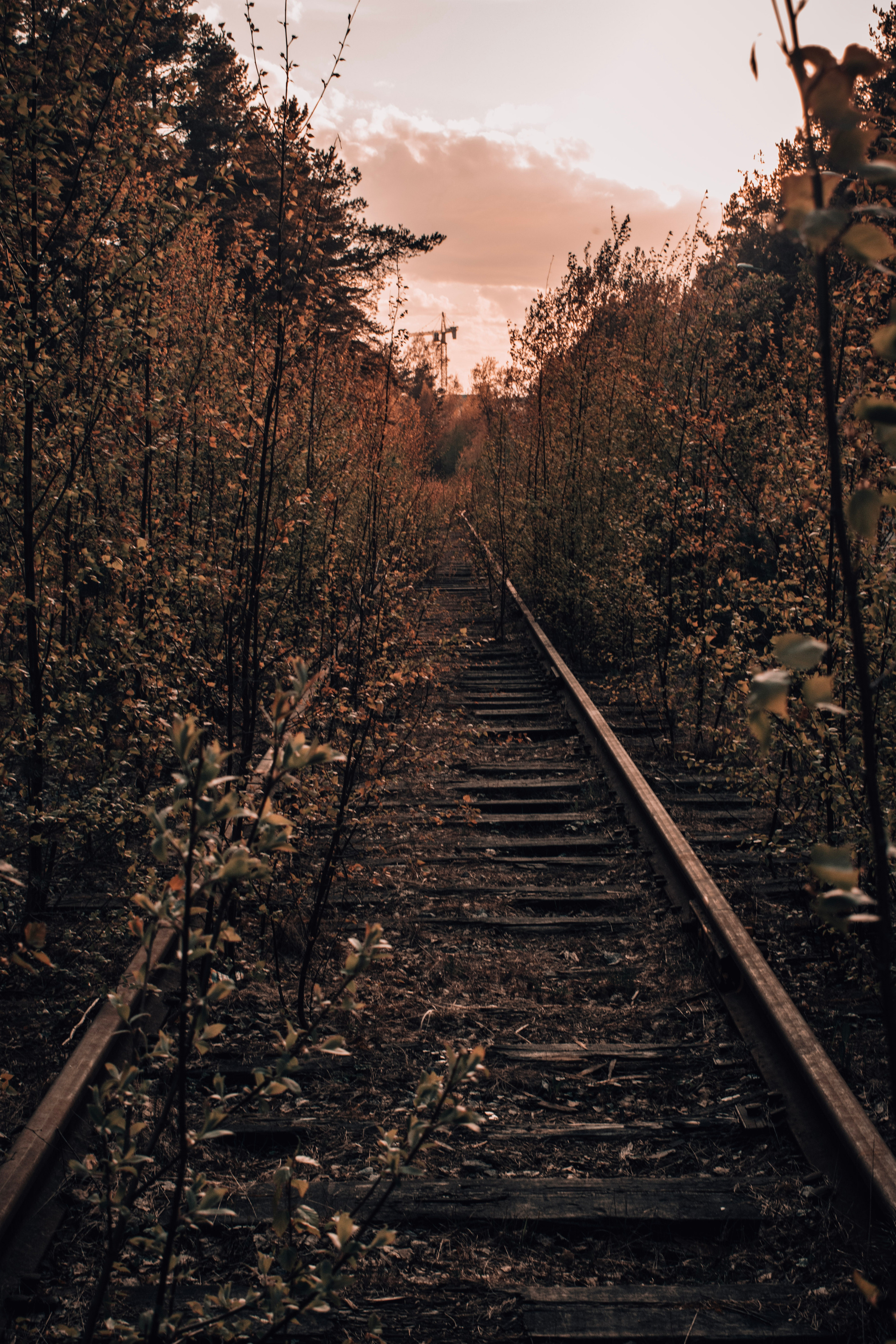 Весна 2019. Фотограф людей и животных в Санкт-Петербурге Марина Бурмистрова