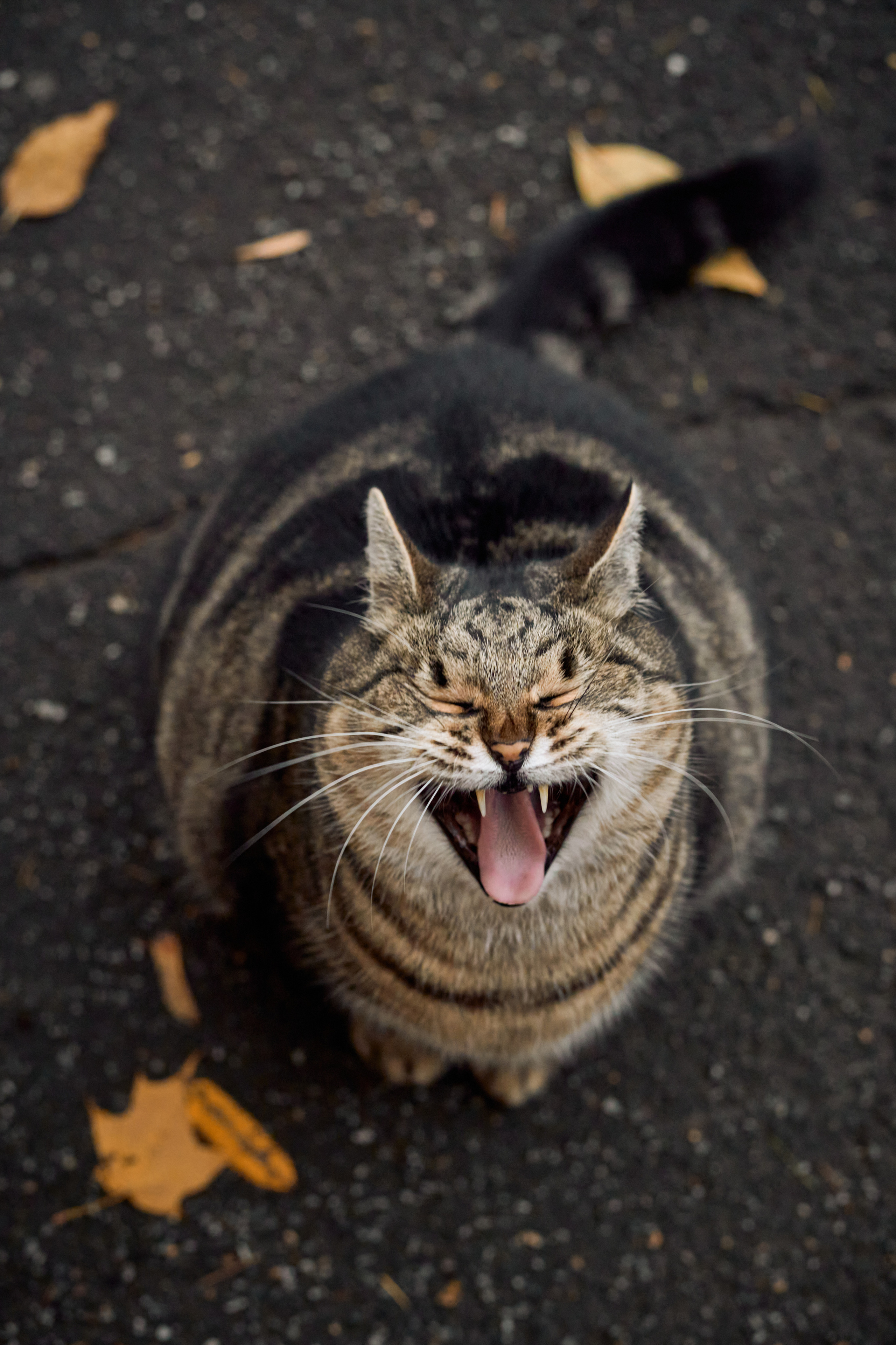 Фотограф людей и животных в Санкт-Петербурге Марина Бурмистрова