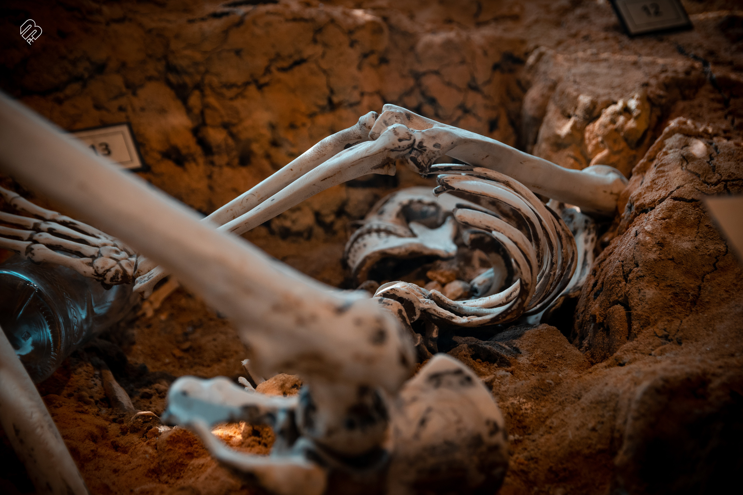 Поездка в Калининград. Фотограф людей и животных в Санкт-Петербурге Марина Бурмистрова