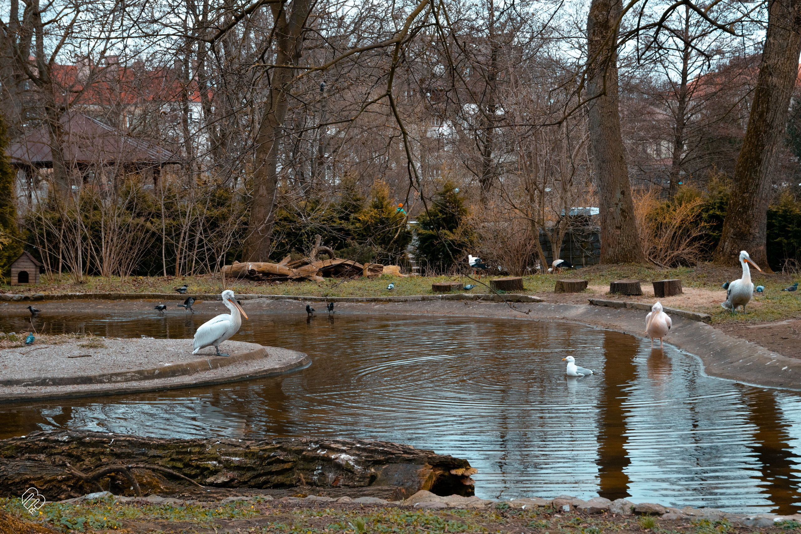 Поездка в Калининград. Фотограф людей и животных в Санкт-Петербурге Марина Бурмистрова