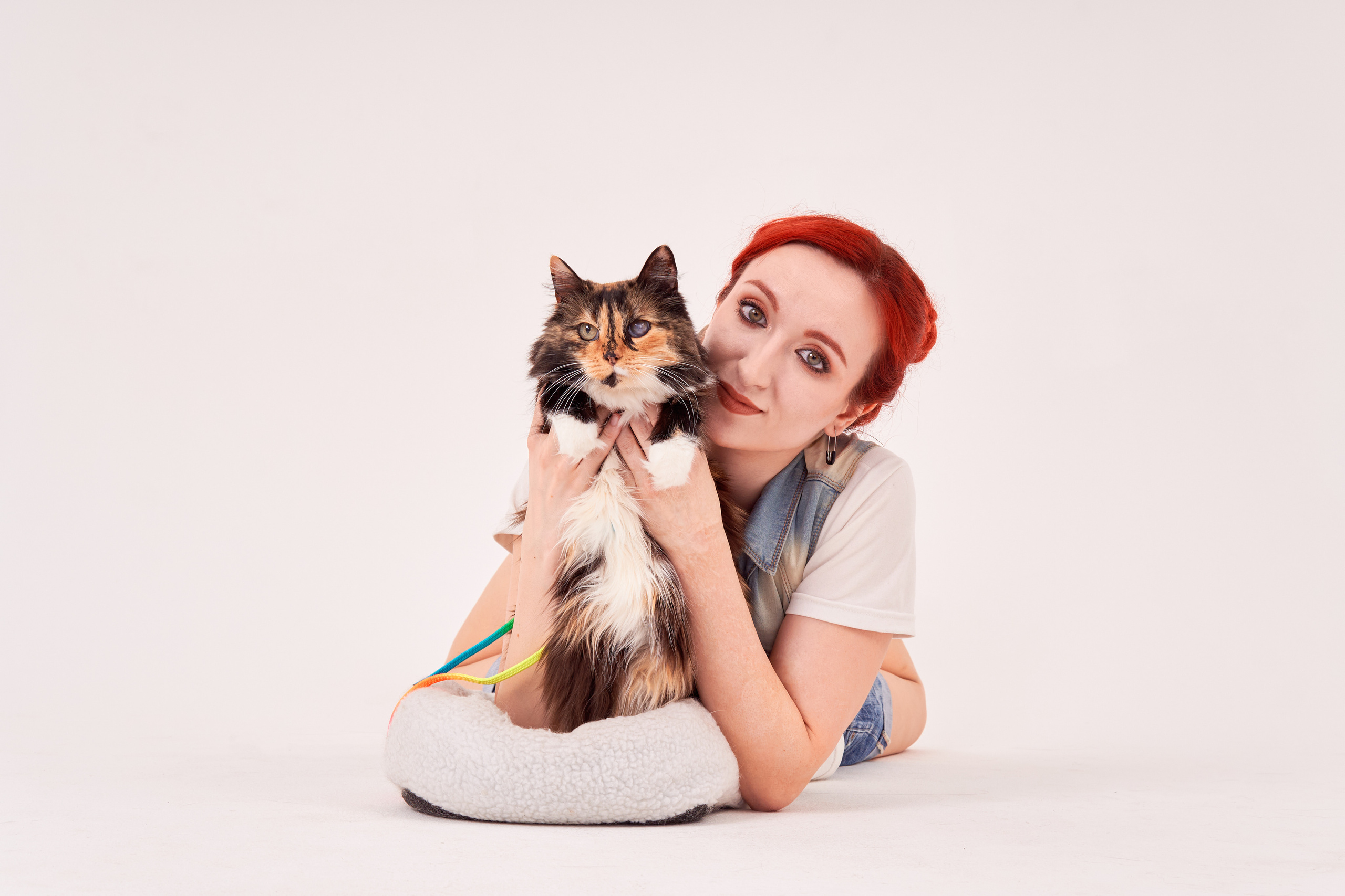 оригинальная фотосессия с кошками на циклораме на белом фоне в джинсовом образе