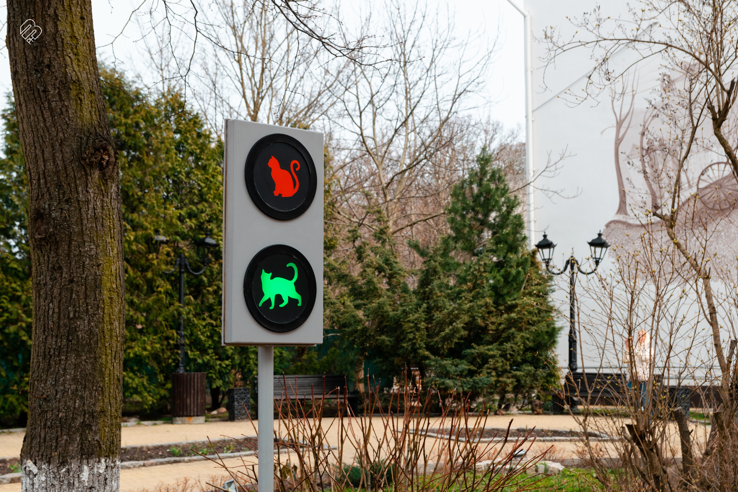 Поездка в Калининград. Фотограф людей и животных в Санкт-Петербурге Марина Бурмистрова