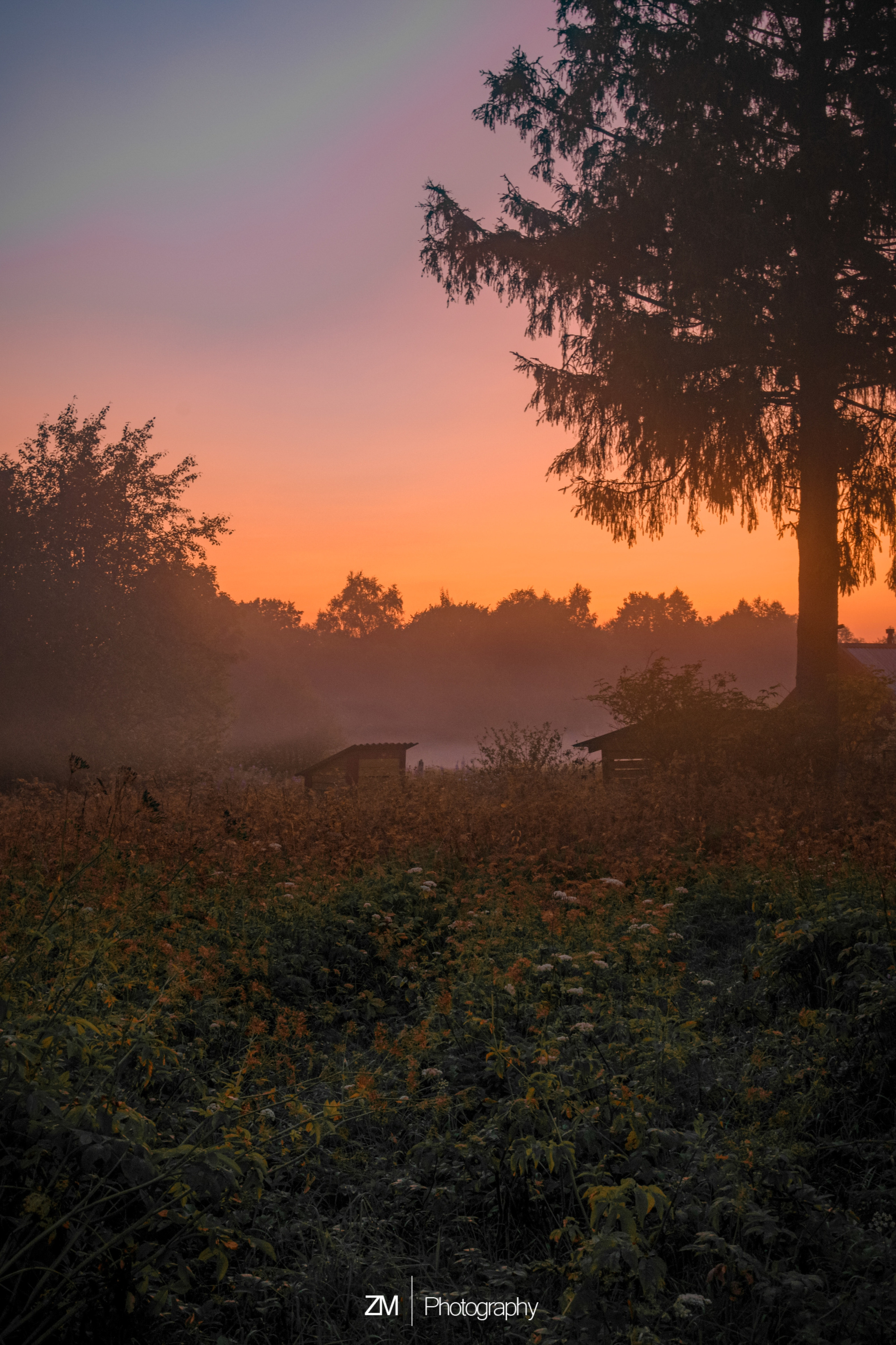 Туманные поля. Фотограф людей и животных в Санкт-Петербурге Марина Бурмистрова