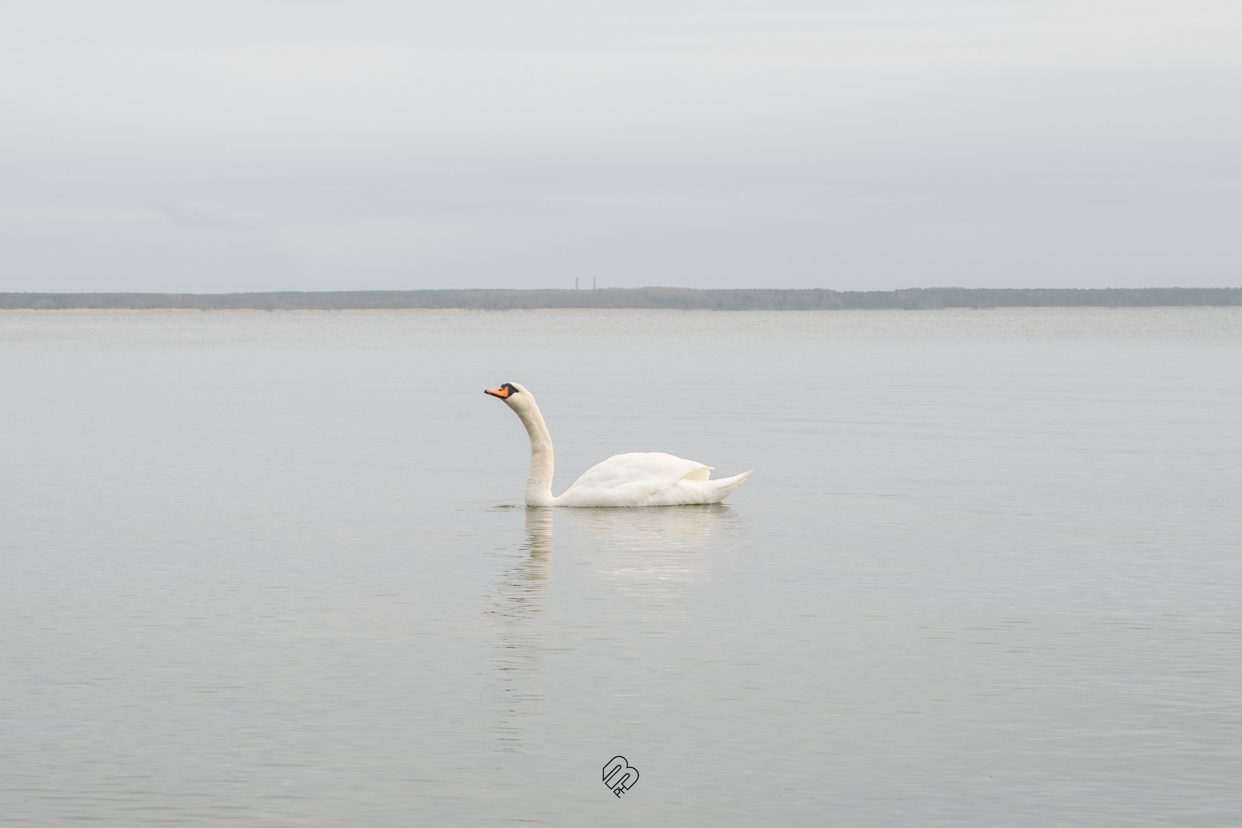 Поездка в Калининград. Фотограф людей и животных в Санкт-Петербурге Марина Бурмистрова