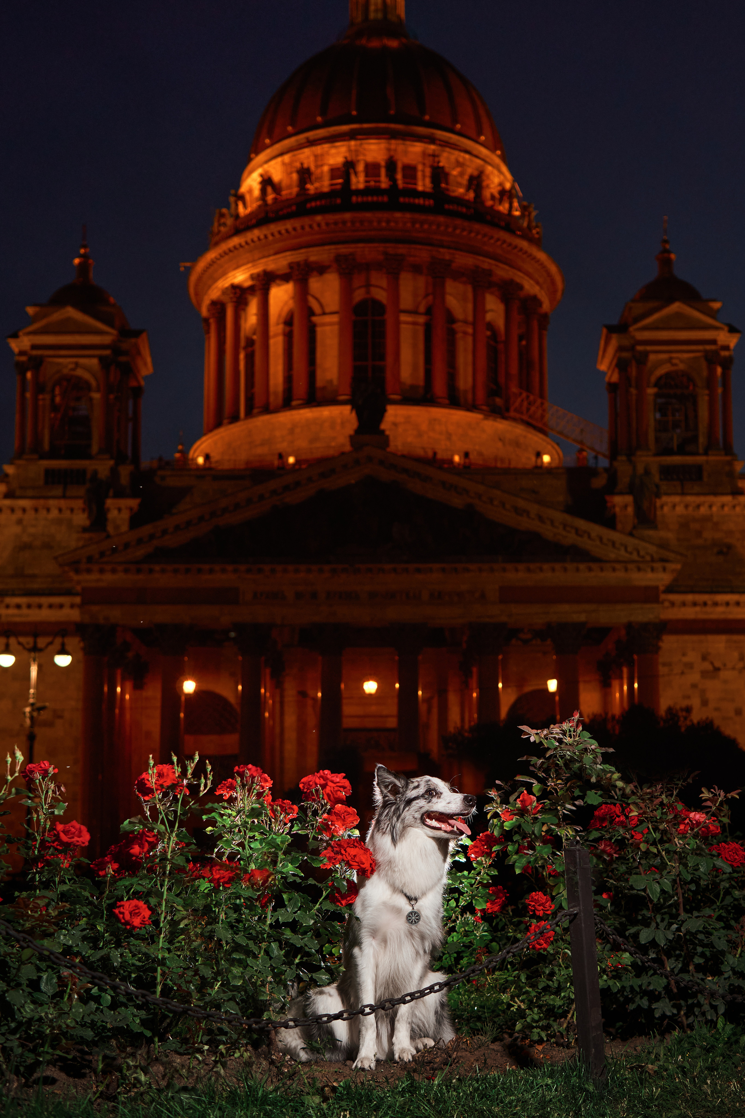 Анималистика. Выездные съемки. Фотограф людей и животных в Санкт-Петербурге Марина Бурмистрова