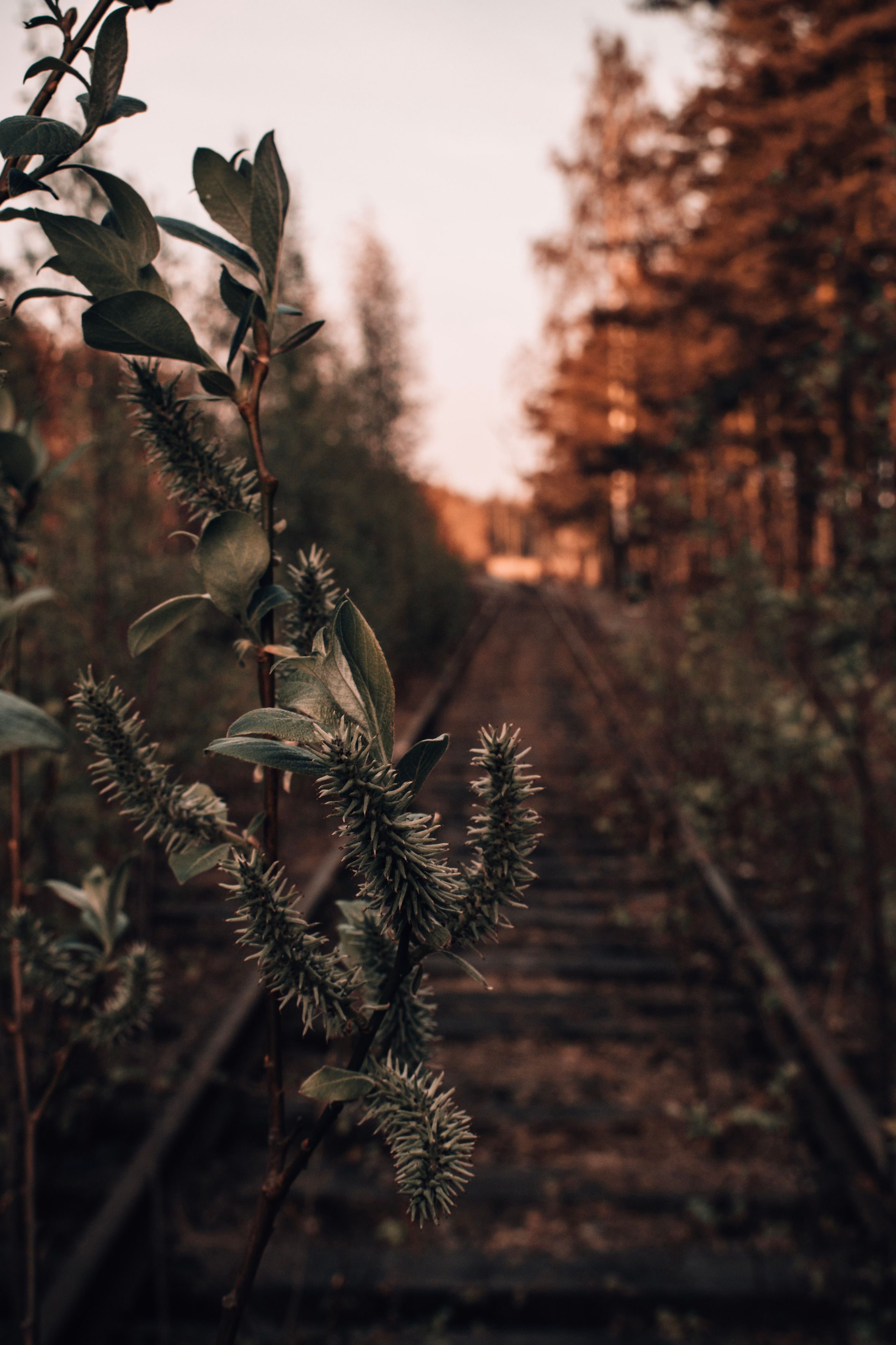 Весна 2019. Фотограф людей и животных в Санкт-Петербурге Марина Бурмистрова