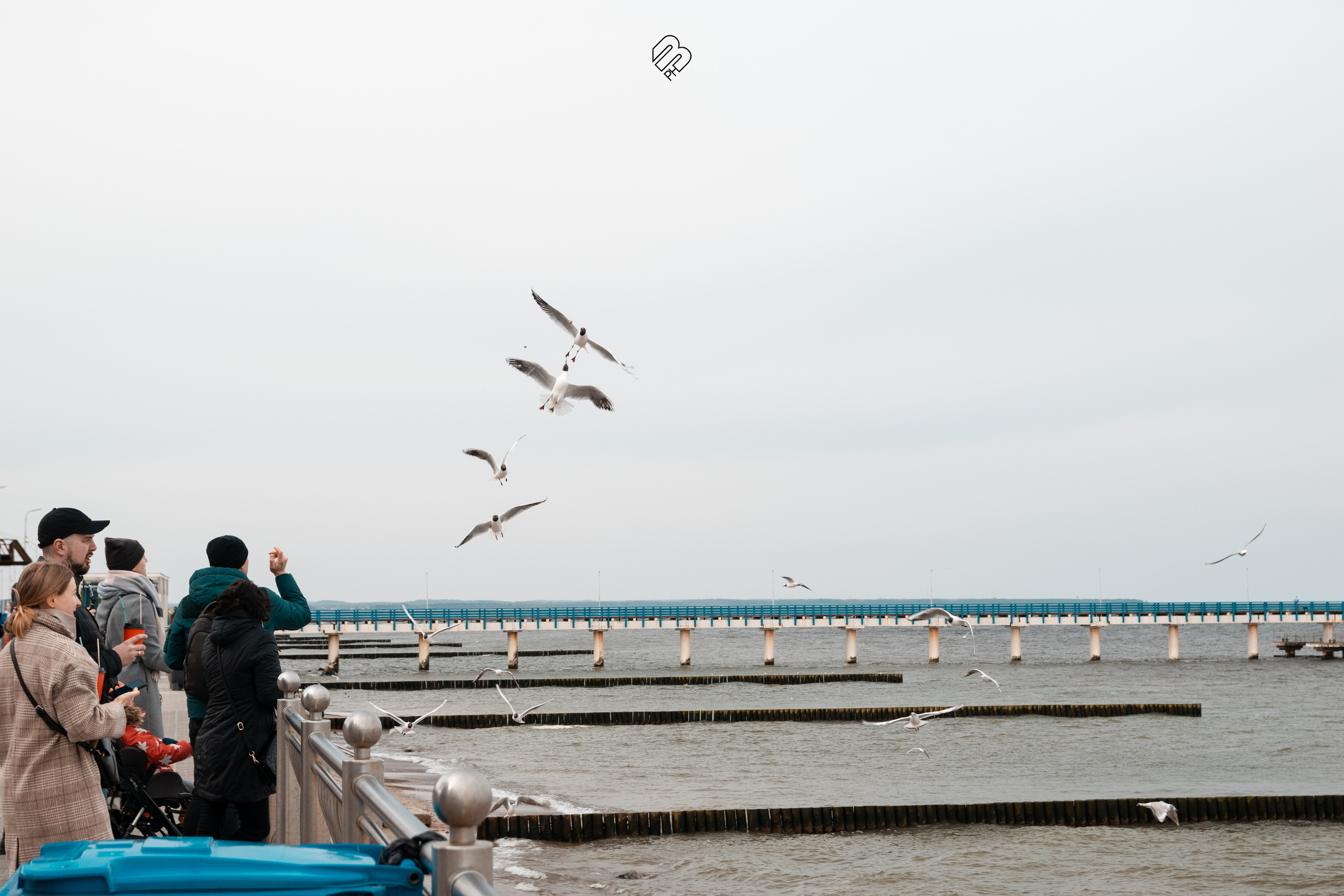 Поездка в Калининград. Фотограф людей и животных в Санкт-Петербурге Марина Бурмистрова