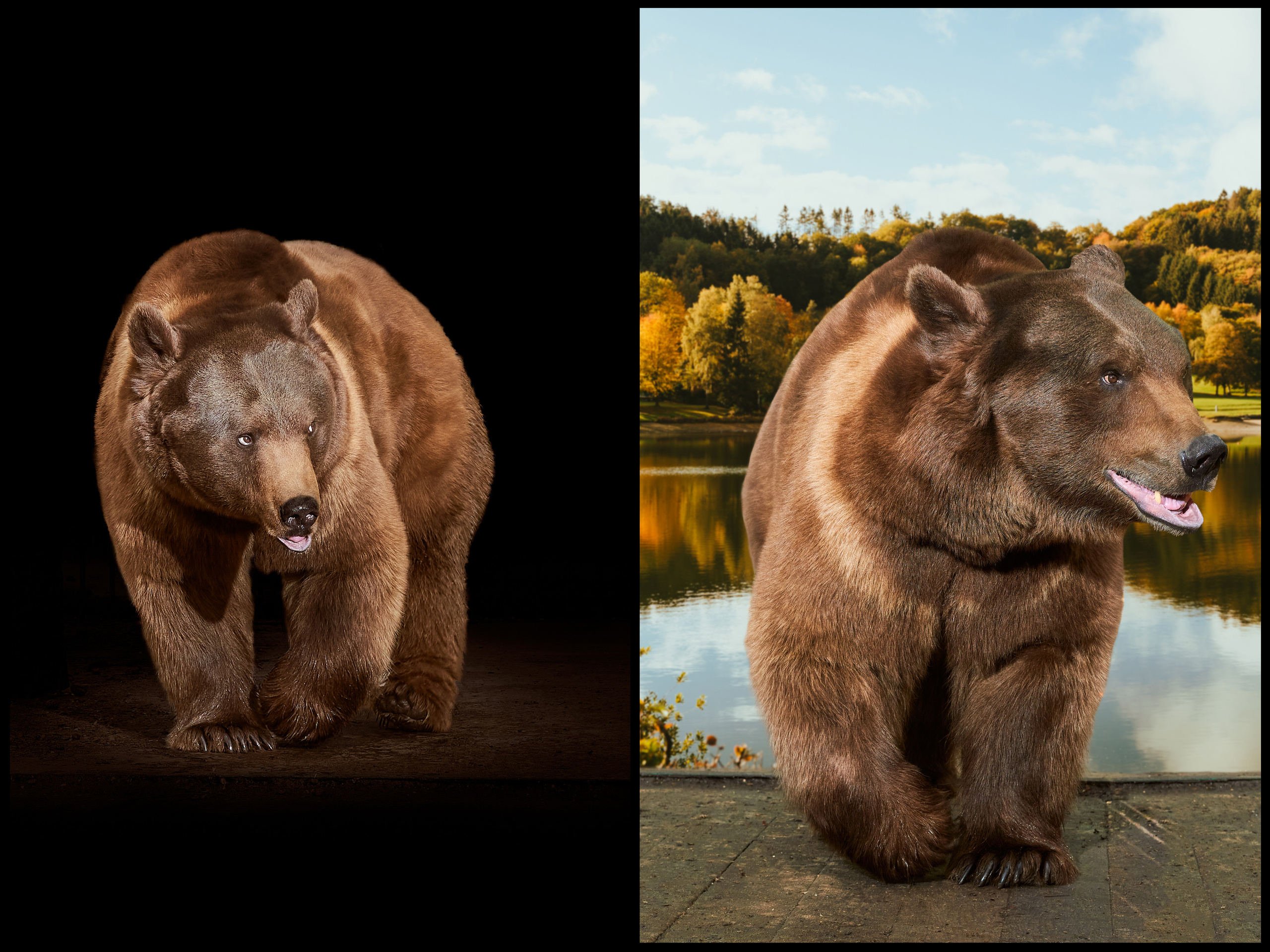 Фотосъемка животных в зоопарке. Фотограф людей и животных в Санкт-Петербурге Марина Бурмистрова