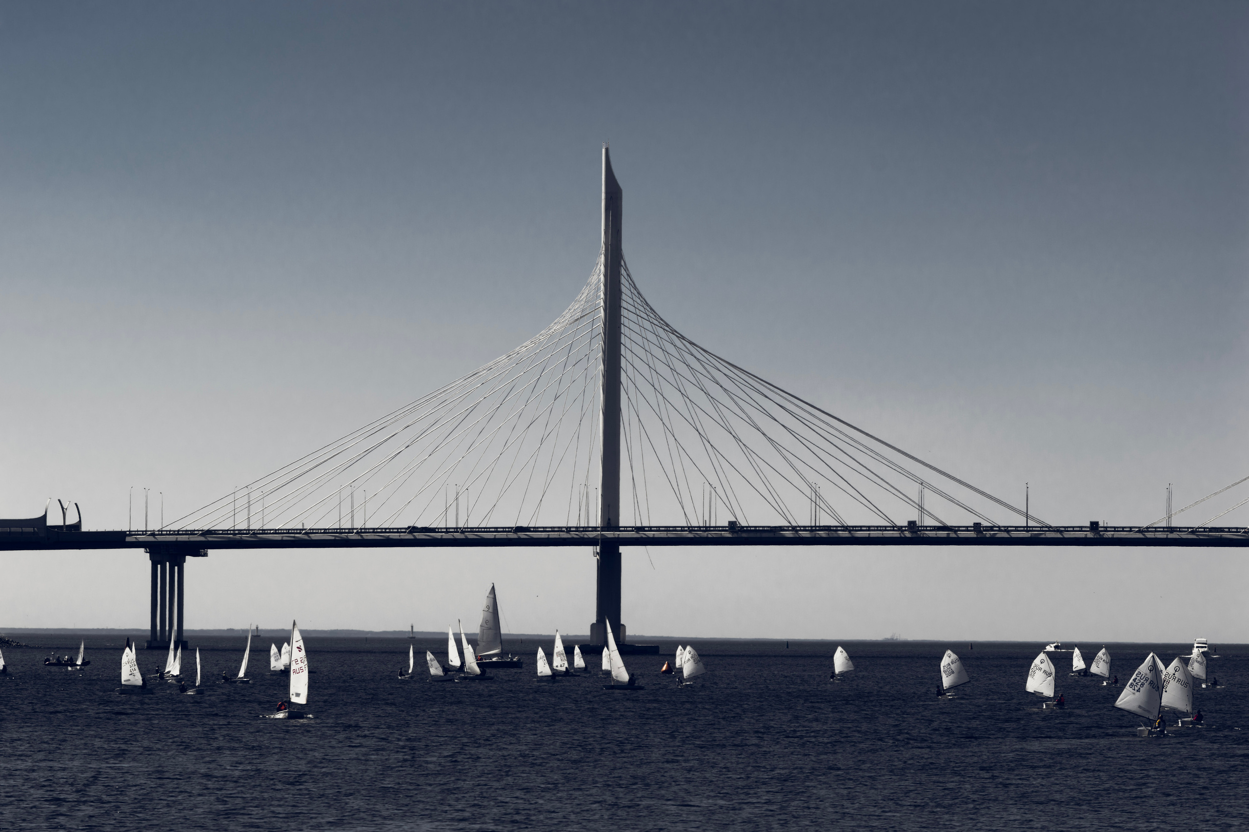 Весна 2019. Фотограф людей и животных в Санкт-Петербурге Марина Бурмистрова