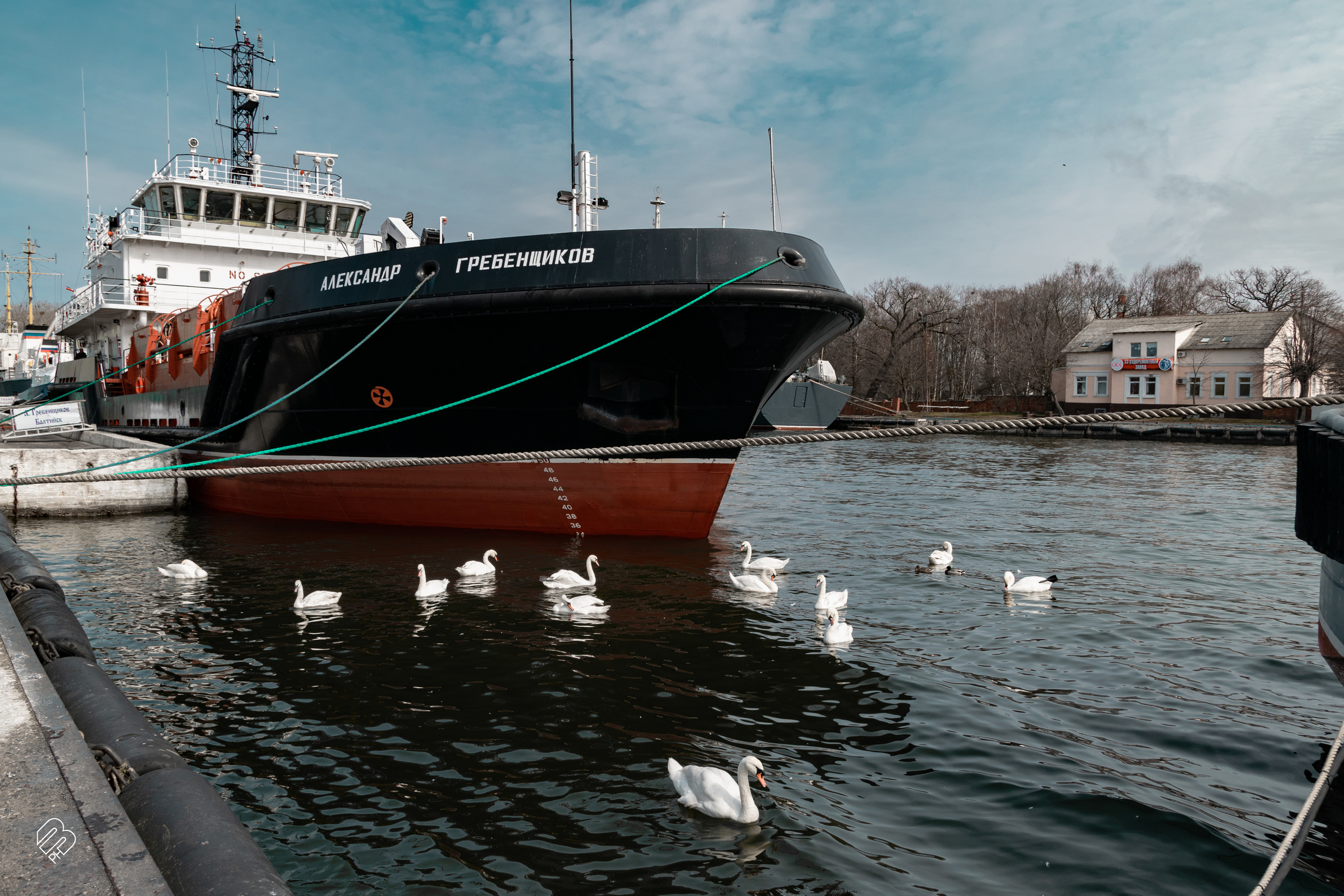 Поездка в Калининград. Фотограф людей и животных в Санкт-Петербурге Марина Бурмистрова