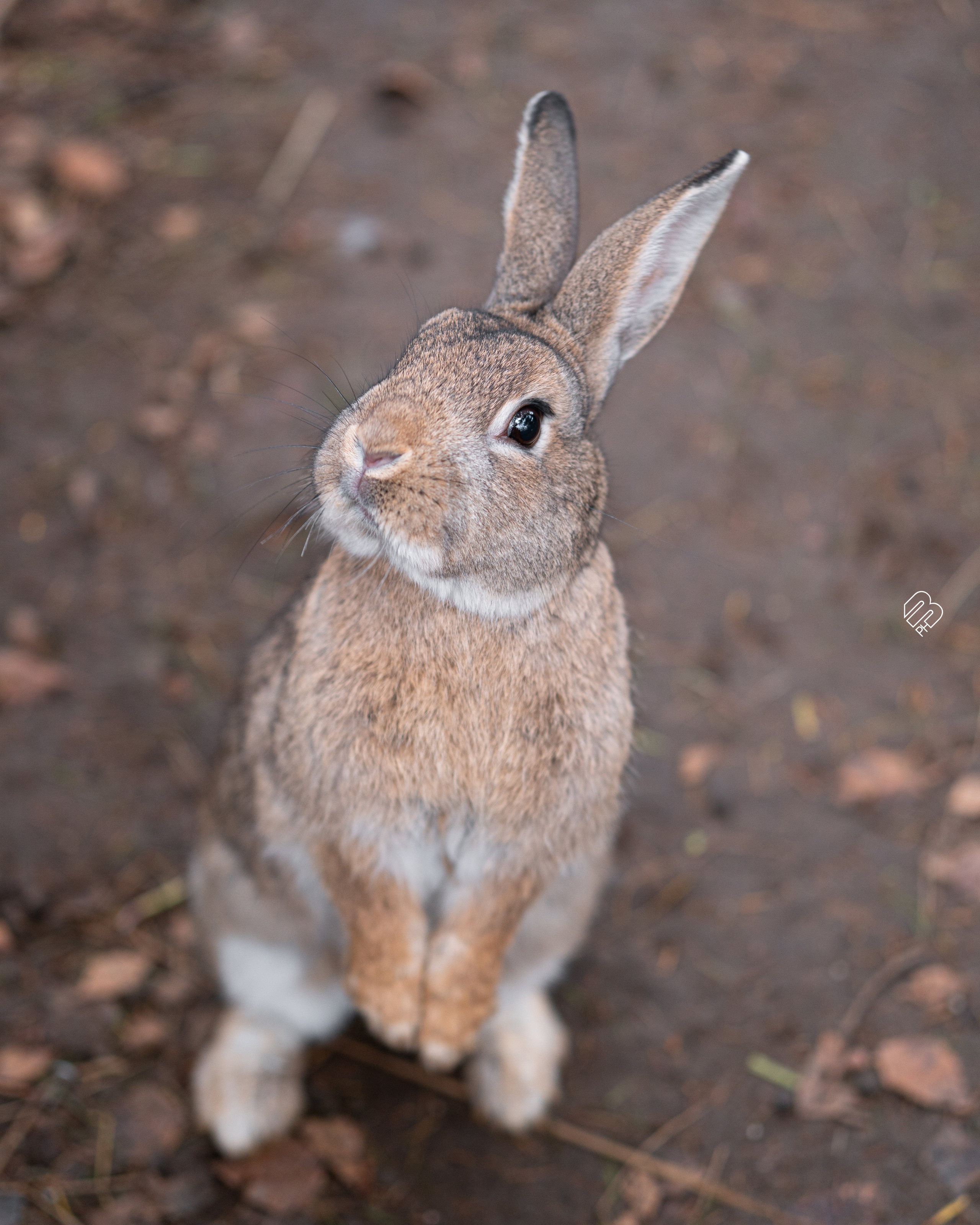 Фотосъемка животных в зоопарке. Фотограф людей и животных в Санкт-Петербурге Марина Бурмистрова