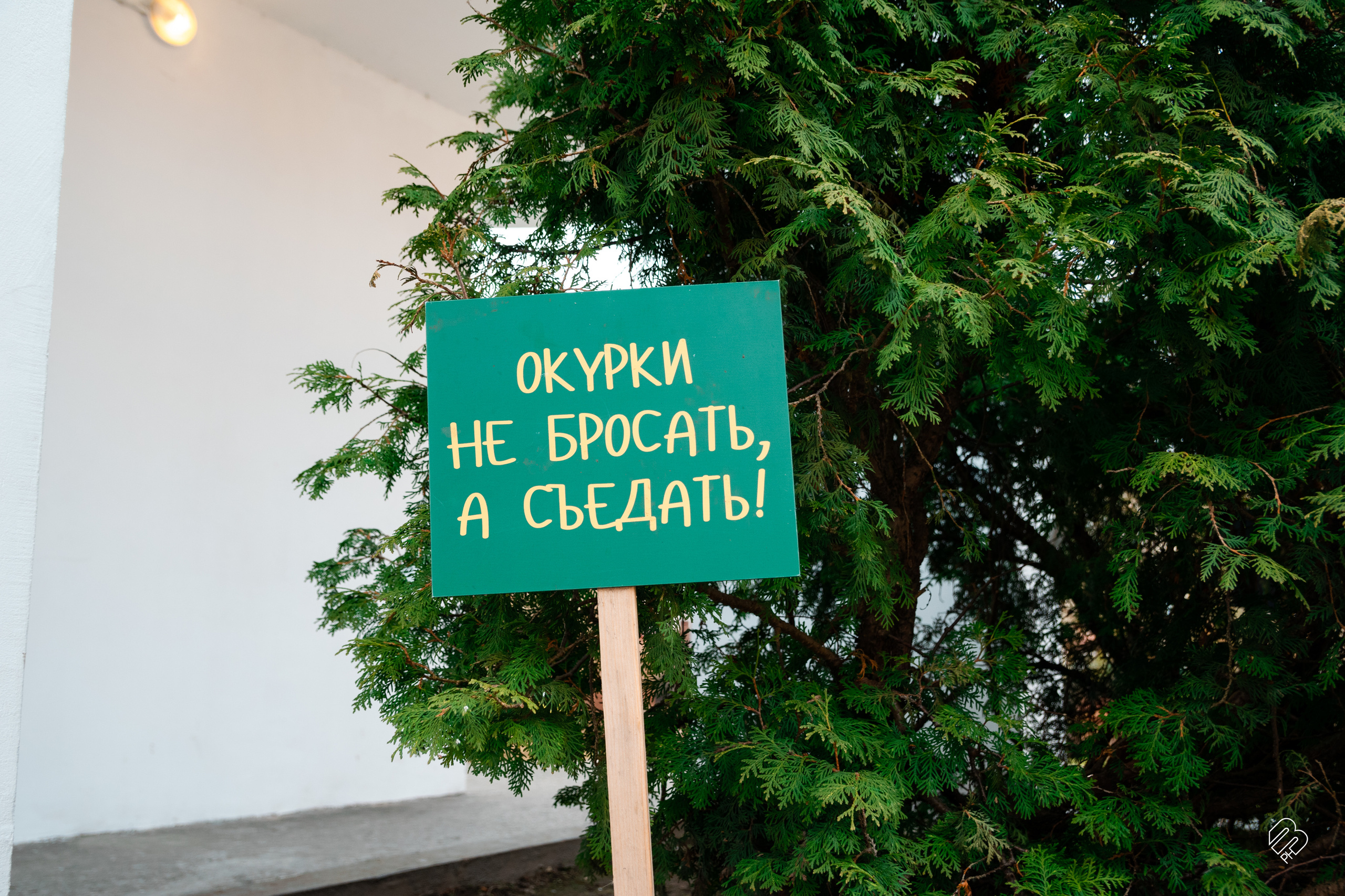 Поездка в Калининград. Фотограф людей и животных в Санкт-Петербурге Марина Бурмистрова