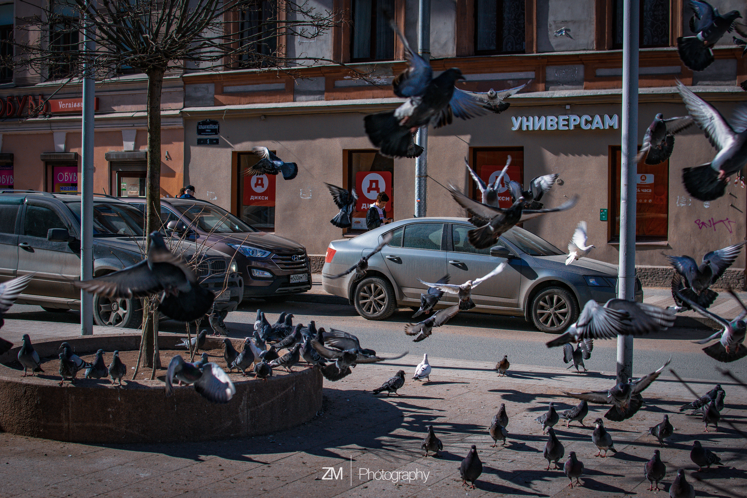 Весна 2019. Фотограф людей и животных в Санкт-Петербурге Марина Бурмистрова