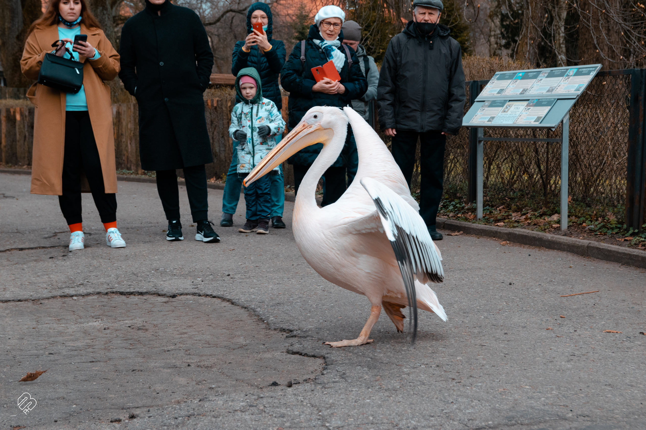 Поездка в Калининград. Фотограф людей и животных в Санкт-Петербурге Марина Бурмистрова