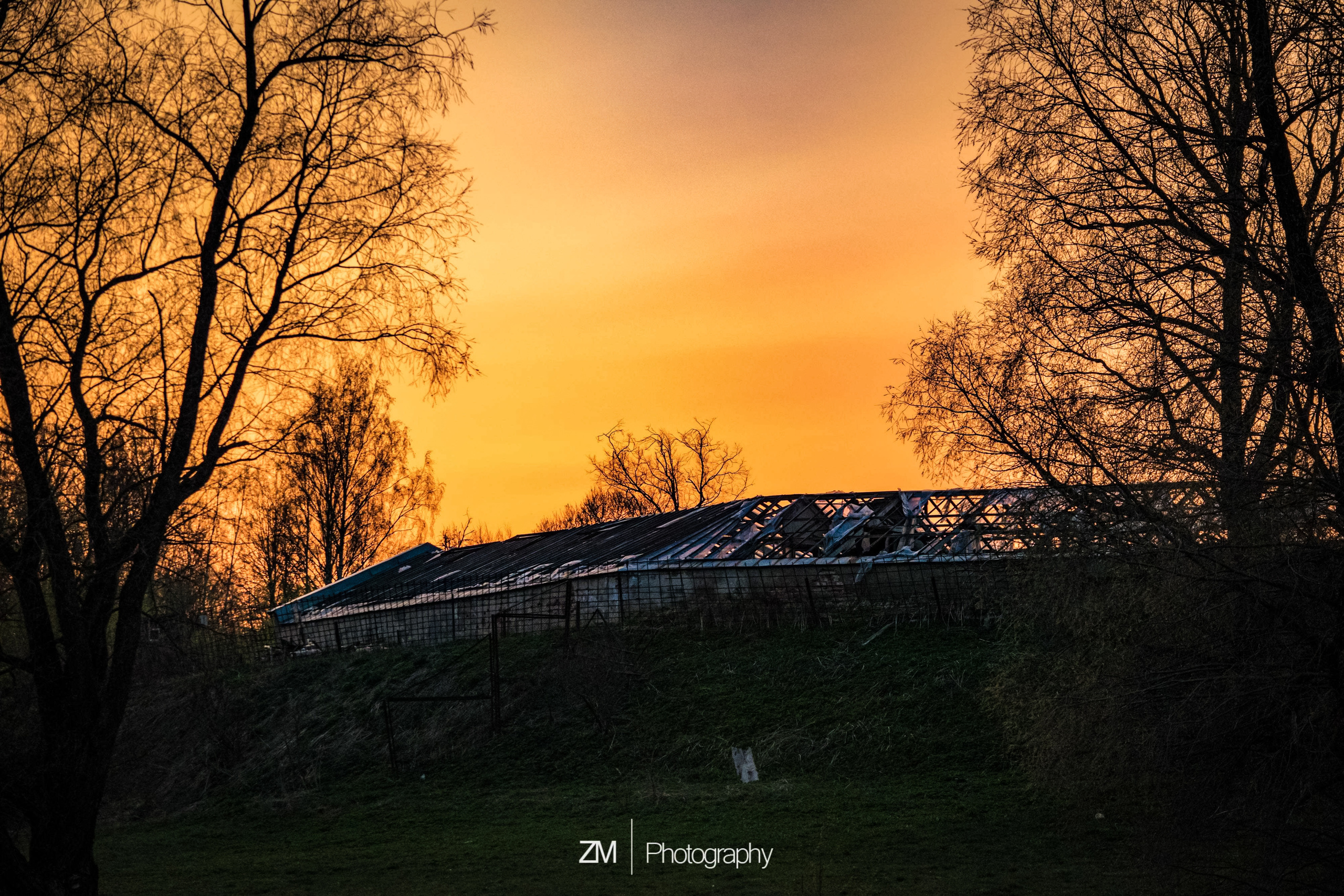 Весна 2019. Фотограф людей и животных в Санкт-Петербурге Марина Бурмистрова