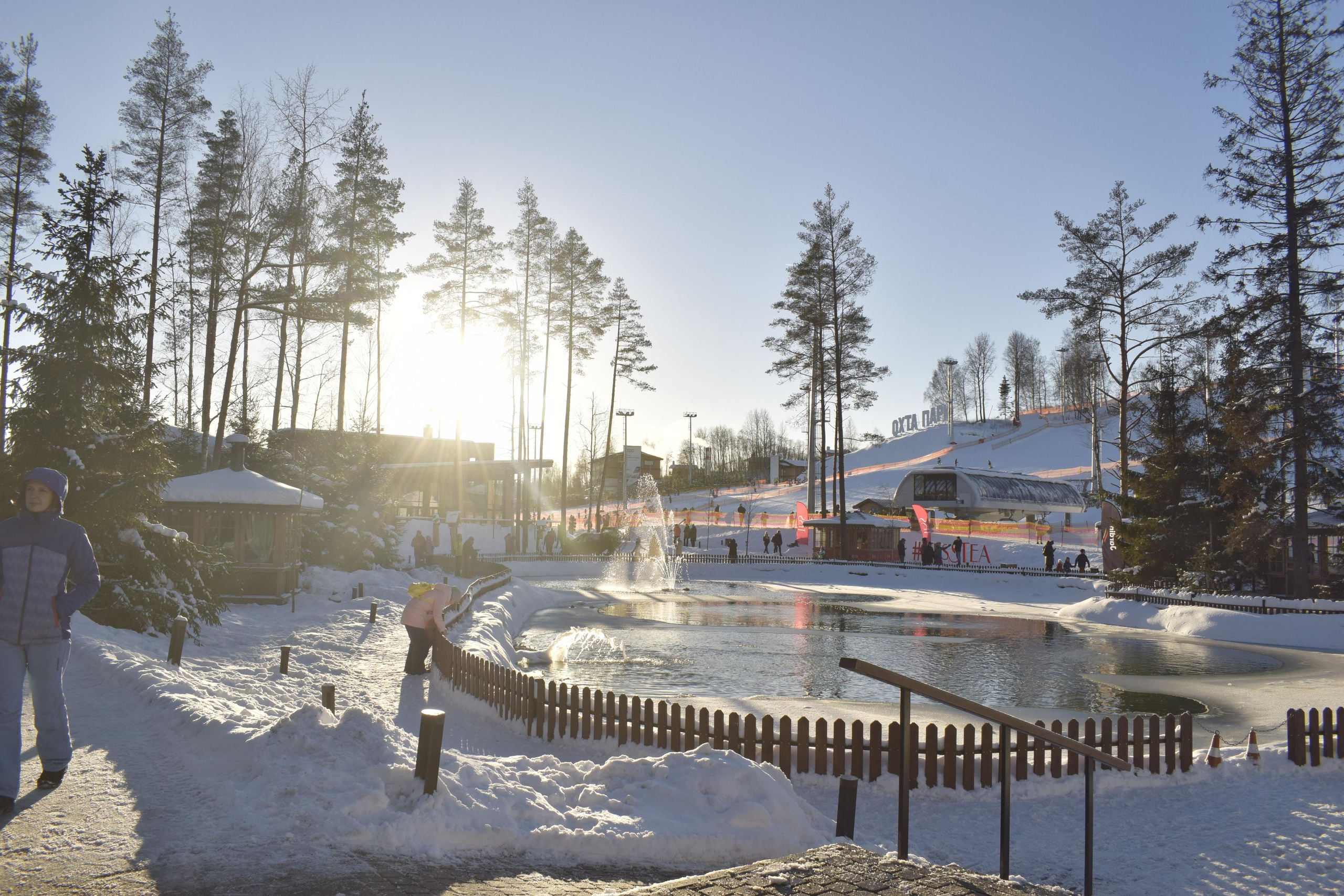 Первые кадры на первую «зеркалку». Фотограф людей и животных в Санкт-Петербурге Марина Бурмистрова