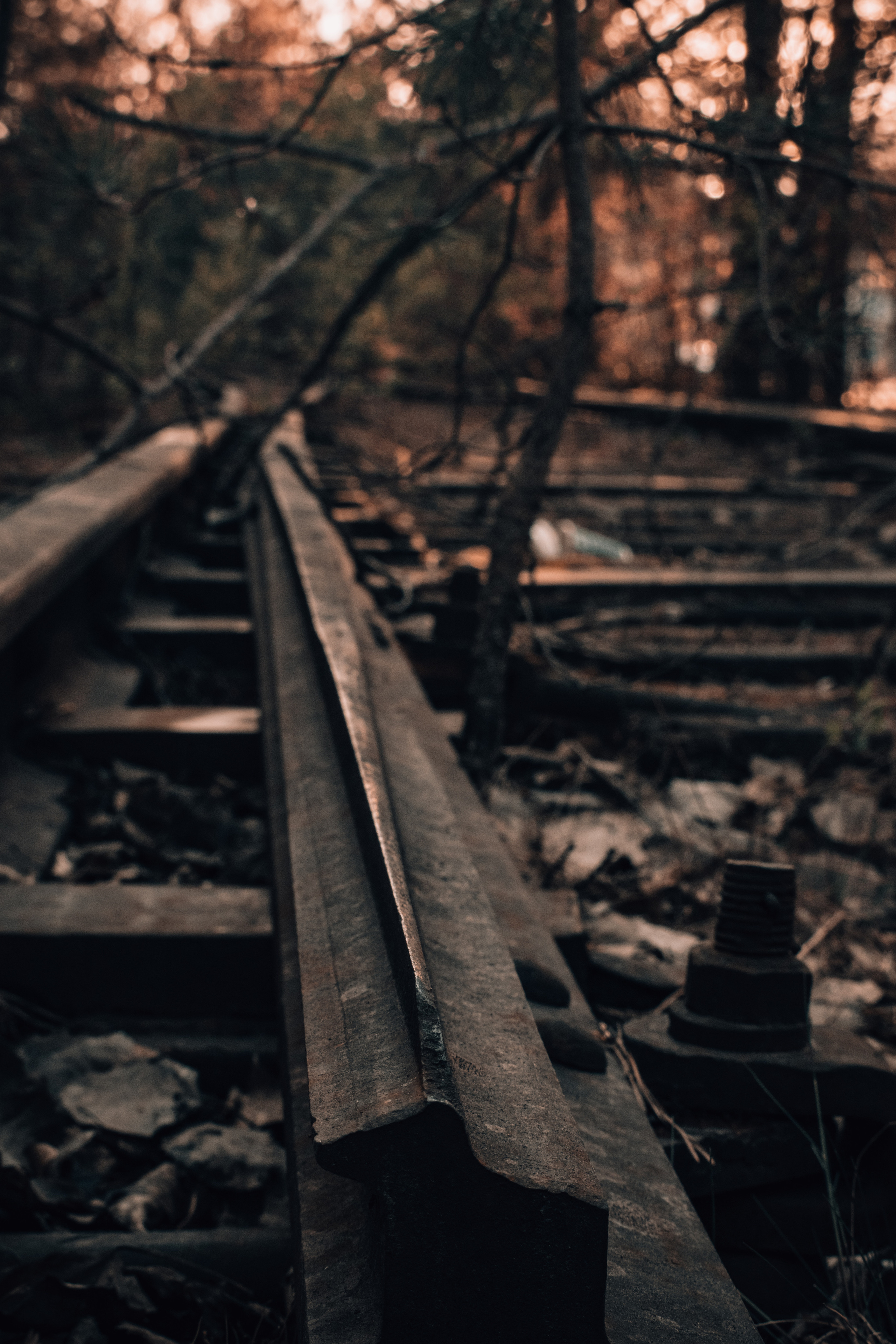 Весна 2019. Фотограф людей и животных в Санкт-Петербурге Марина Бурмистрова