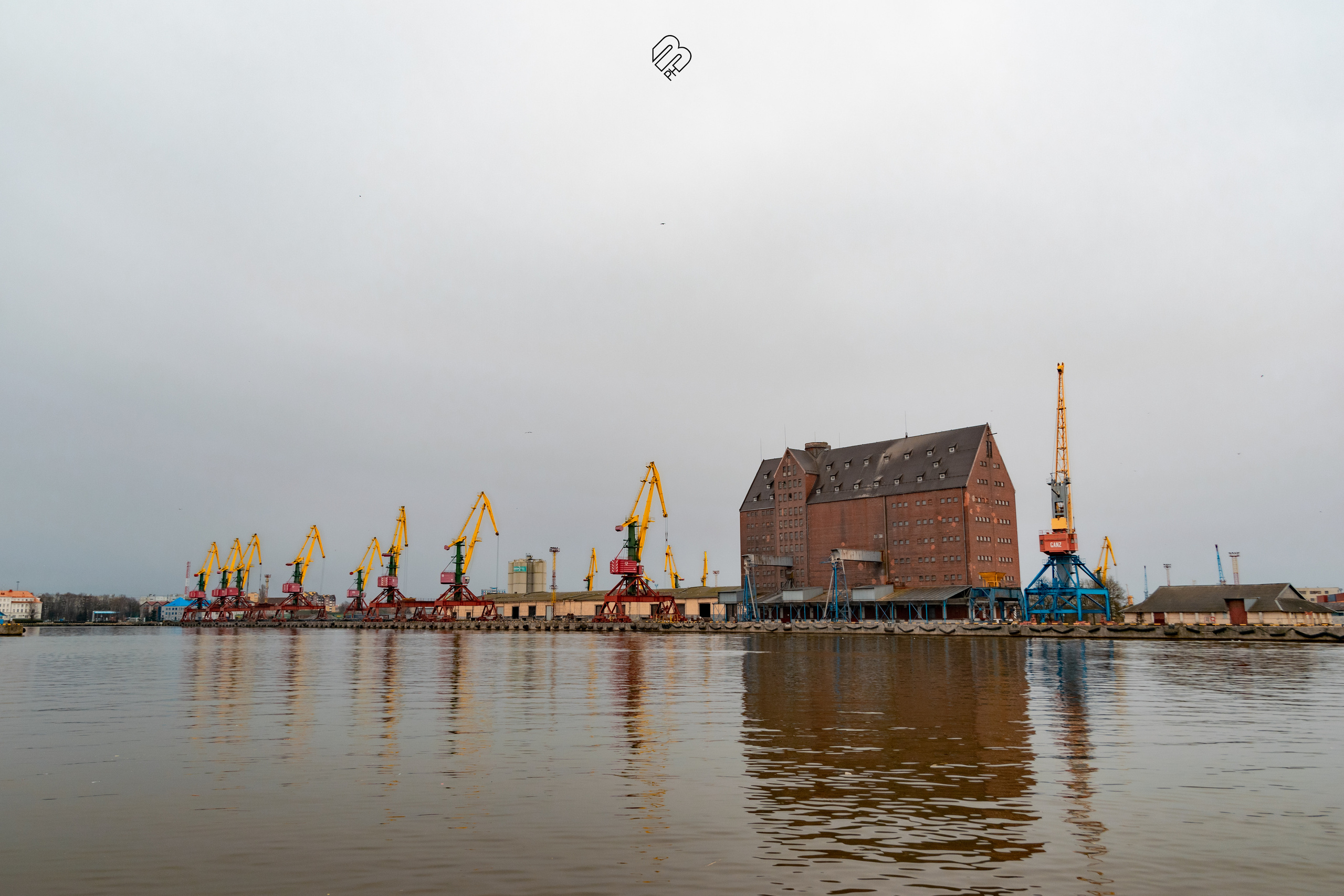 Поездка в Калининград. Фотограф людей и животных в Санкт-Петербурге Марина Бурмистрова
