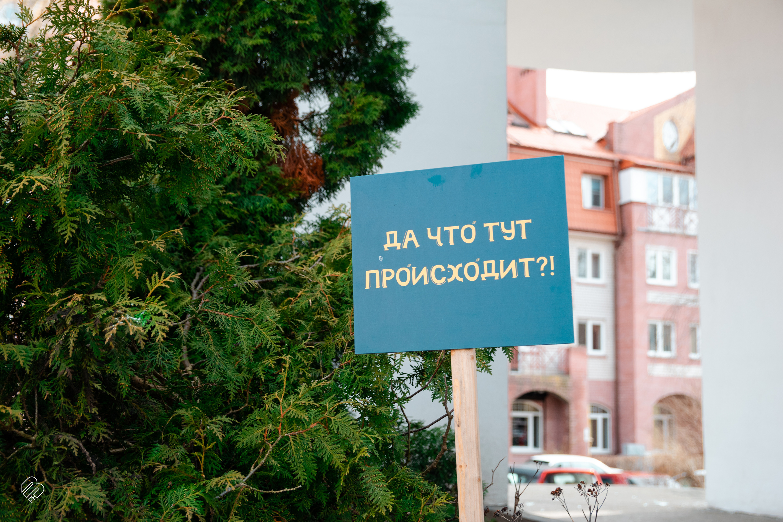 Поездка в Калининград. Фотограф людей и животных в Санкт-Петербурге Марина Бурмистрова