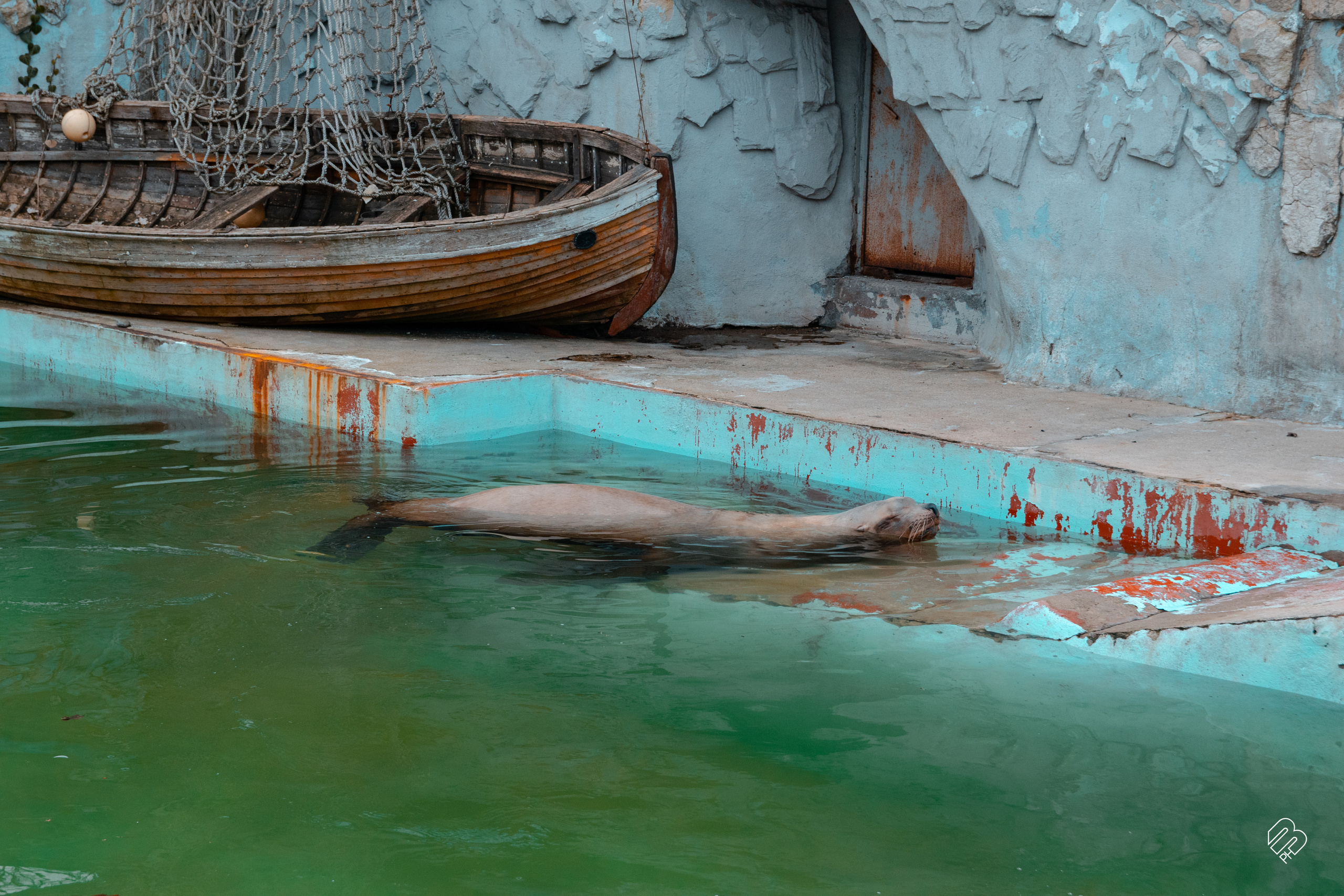 Фотосъемка животных в зоопарке. Фотограф людей и животных в Санкт-Петербурге Марина Бурмистрова