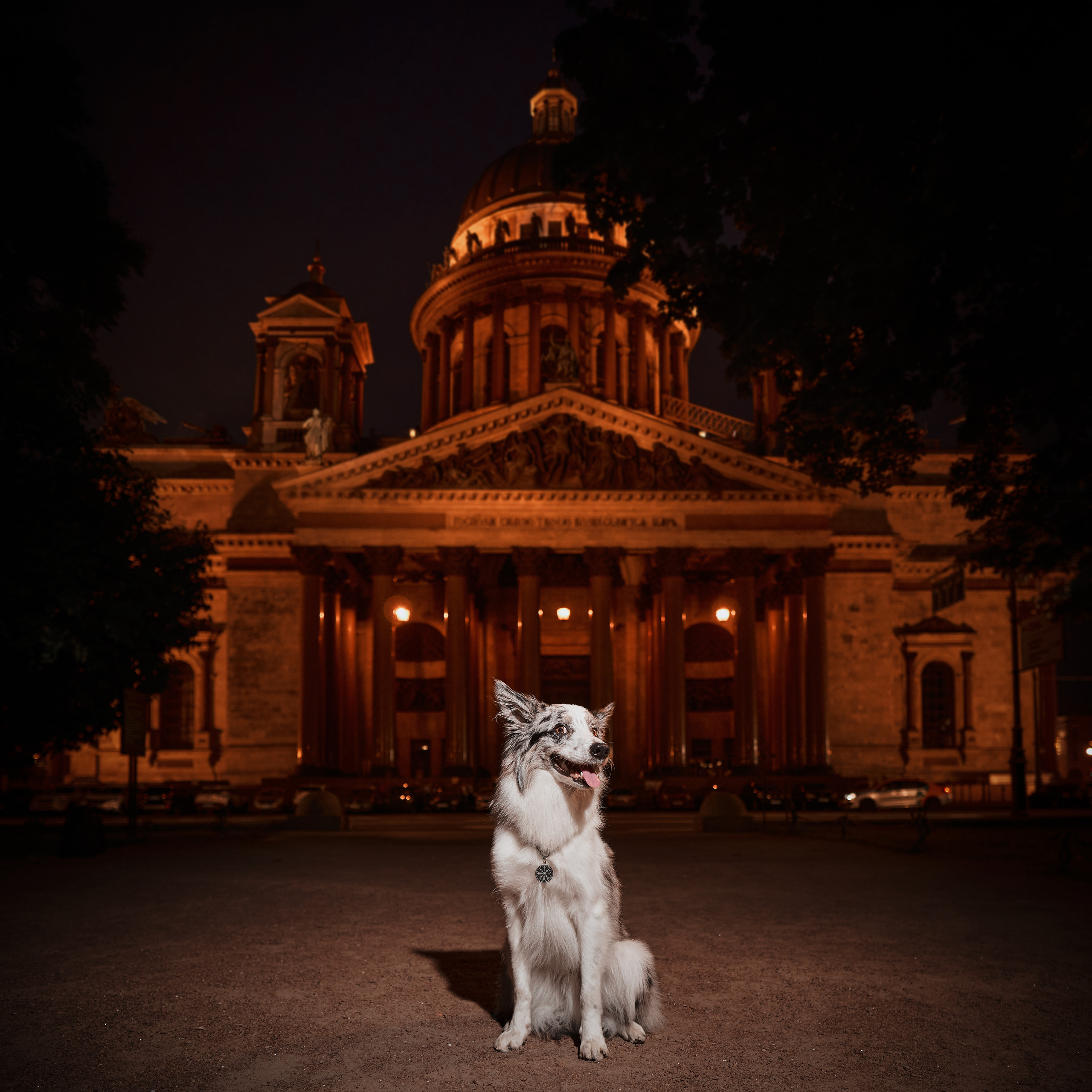 Анималистика. Выездные съемки. Фотограф людей и животных в Санкт-Петербурге Марина Бурмистрова