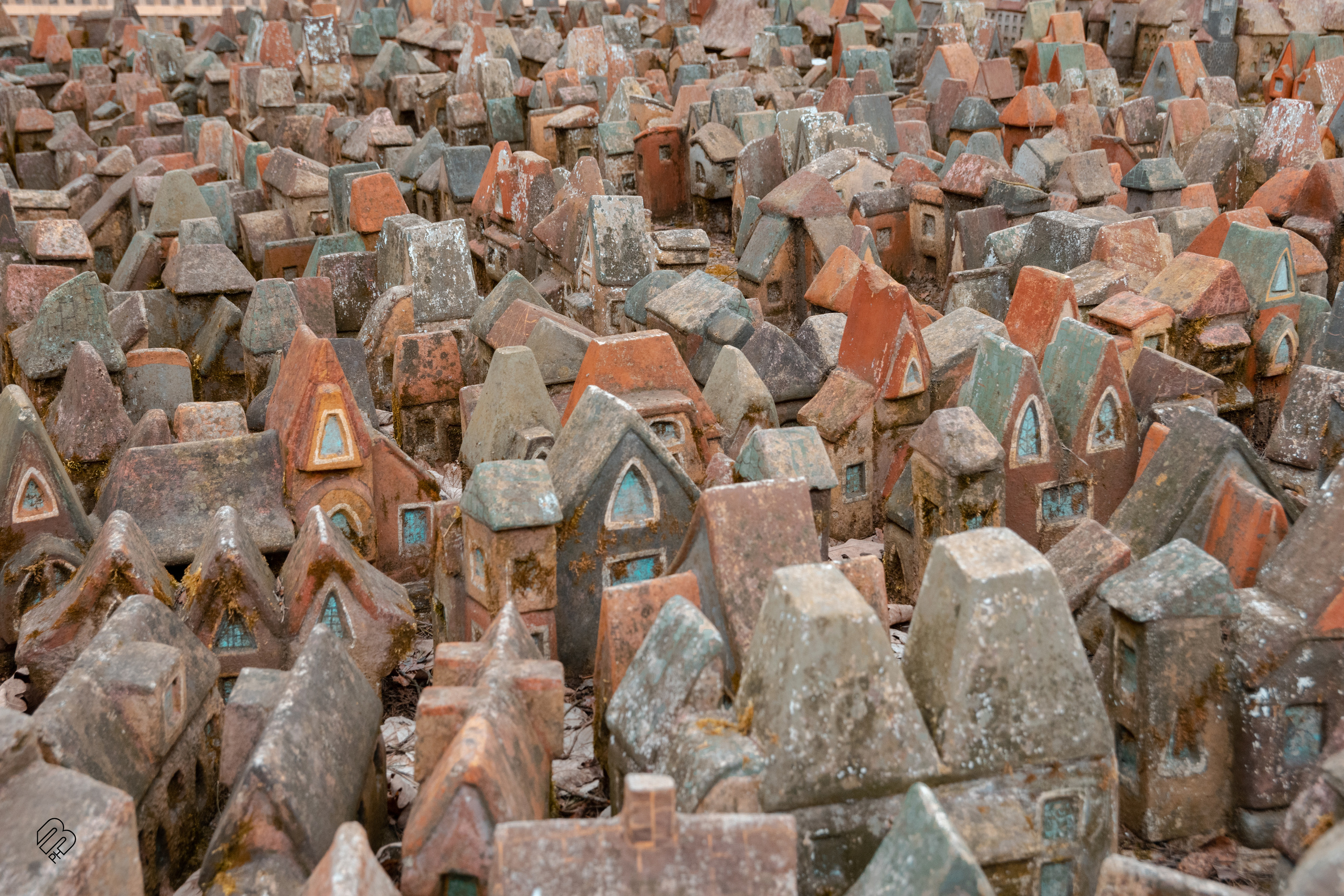 Поездка в Калининград. Фотограф людей и животных в Санкт-Петербурге Марина Бурмистрова