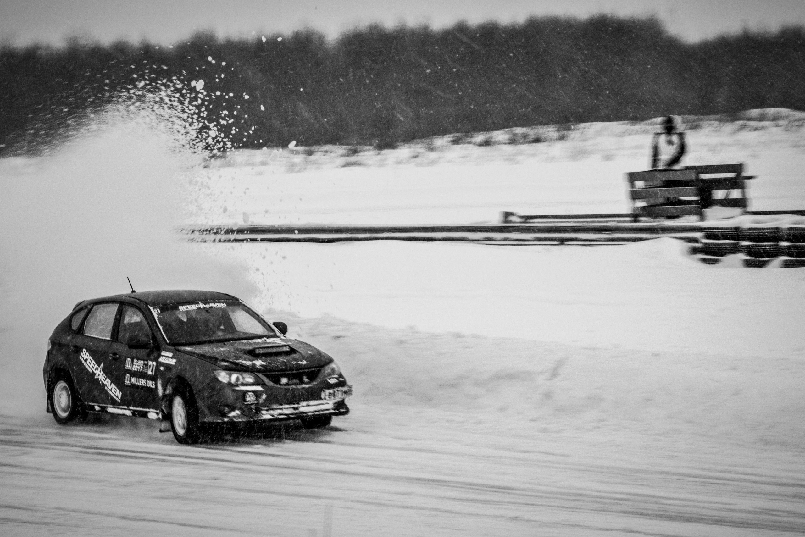 Первые кадры на первую «зеркалку». Фотограф людей и животных в Санкт-Петербурге Марина Бурмистрова