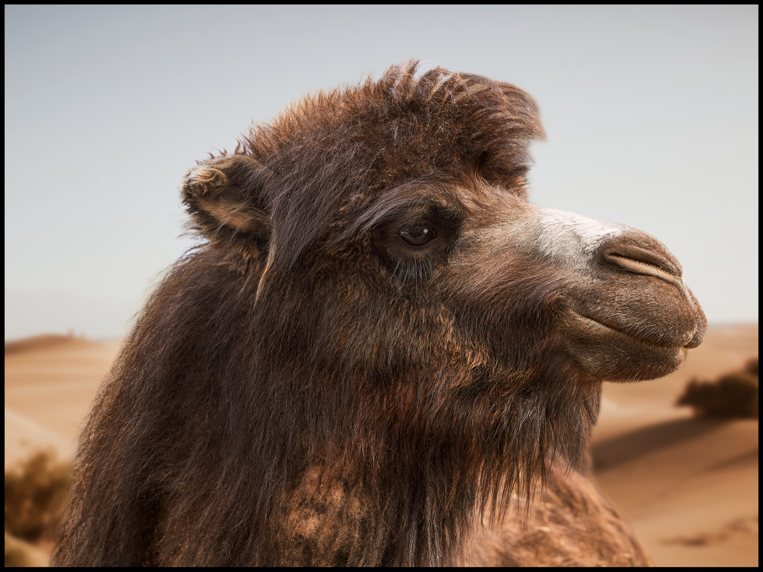 Фотограф людей и животных в Санкт-Петербурге Марина Бурмистрова