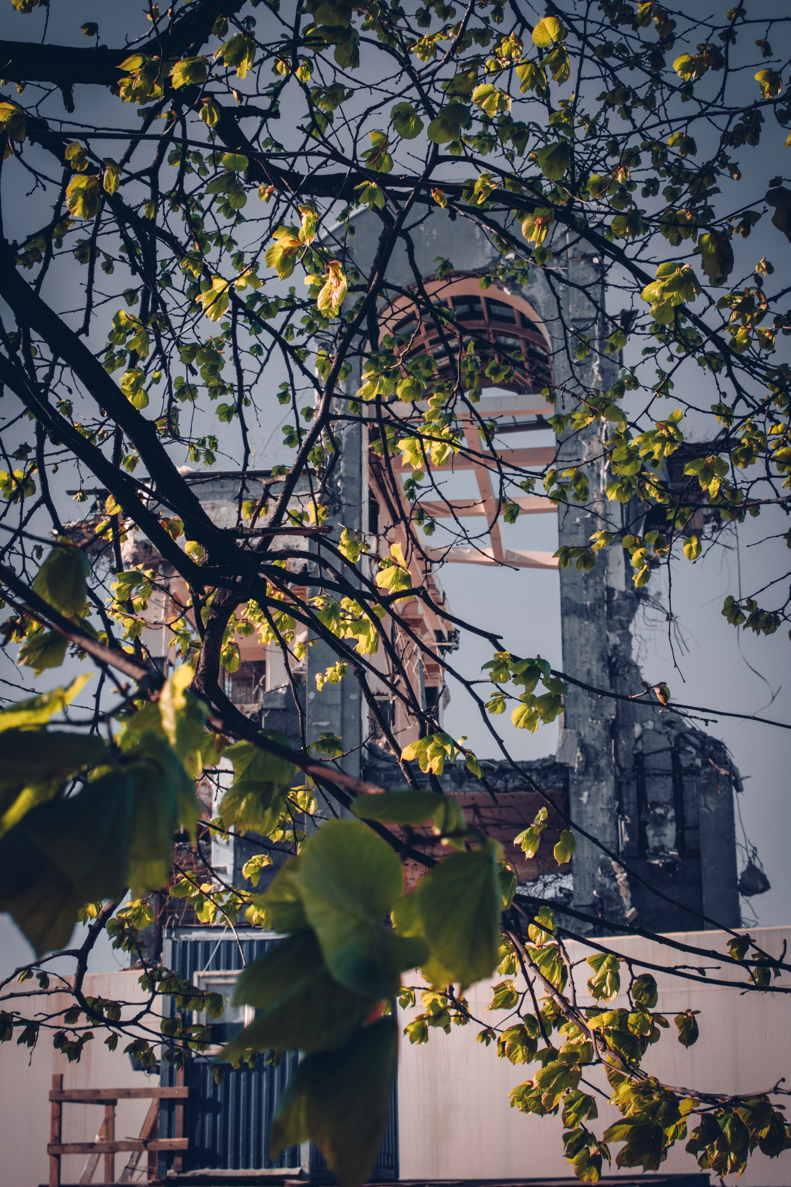 Весна 2019. Фотограф людей и животных в Санкт-Петербурге Марина Бурмистрова