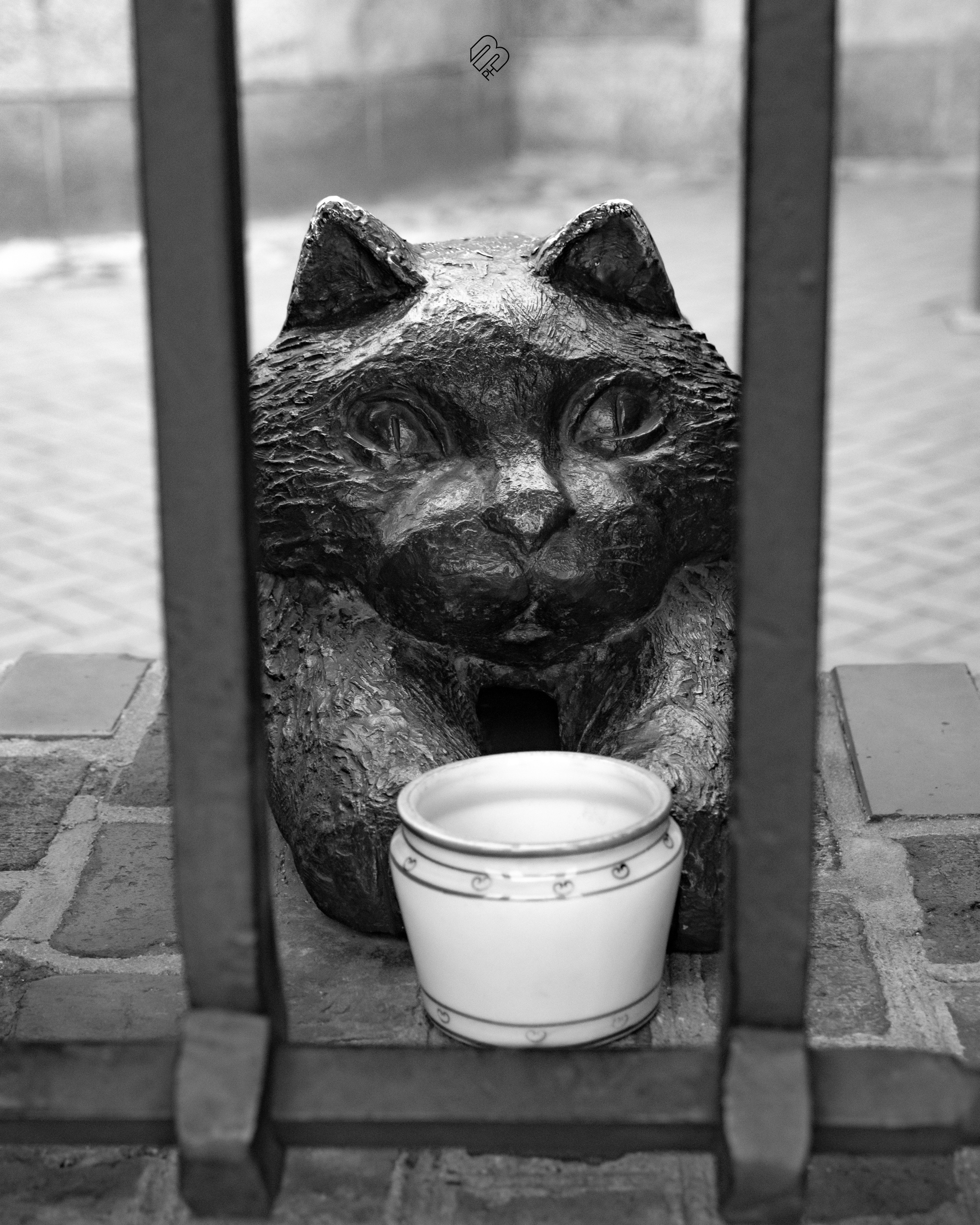 Поездка в Калининград. Фотограф людей и животных в Санкт-Петербурге Марина Бурмистрова