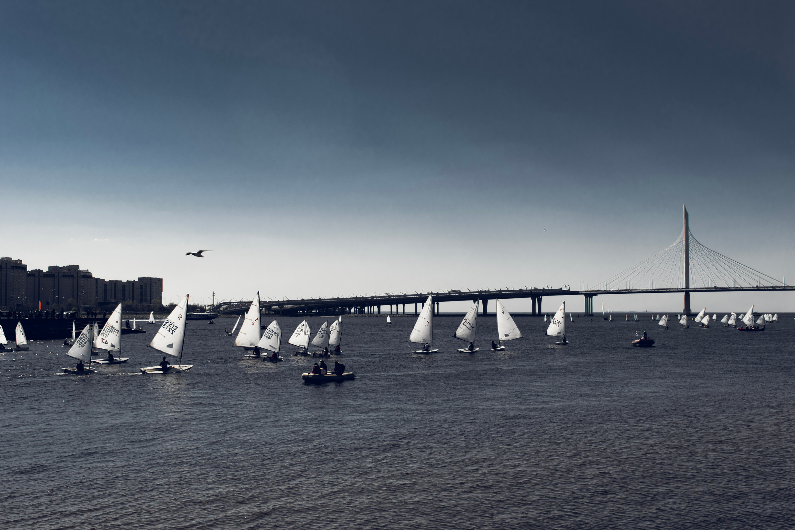 Весна 2019. Фотограф людей и животных в Санкт-Петербурге Марина Бурмистрова