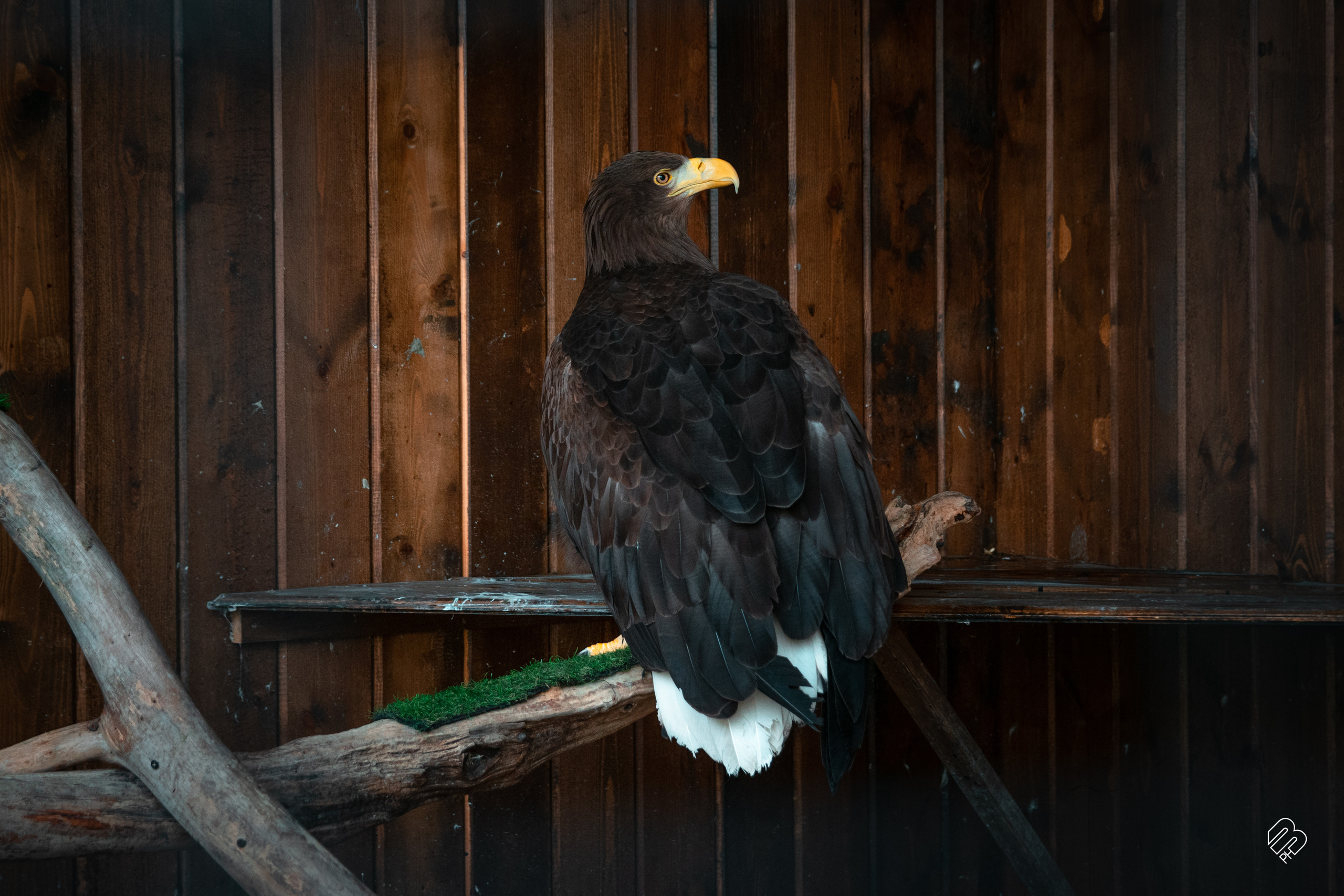 Поездка в Калининград. Фотограф людей и животных в Санкт-Петербурге Марина Бурмистрова