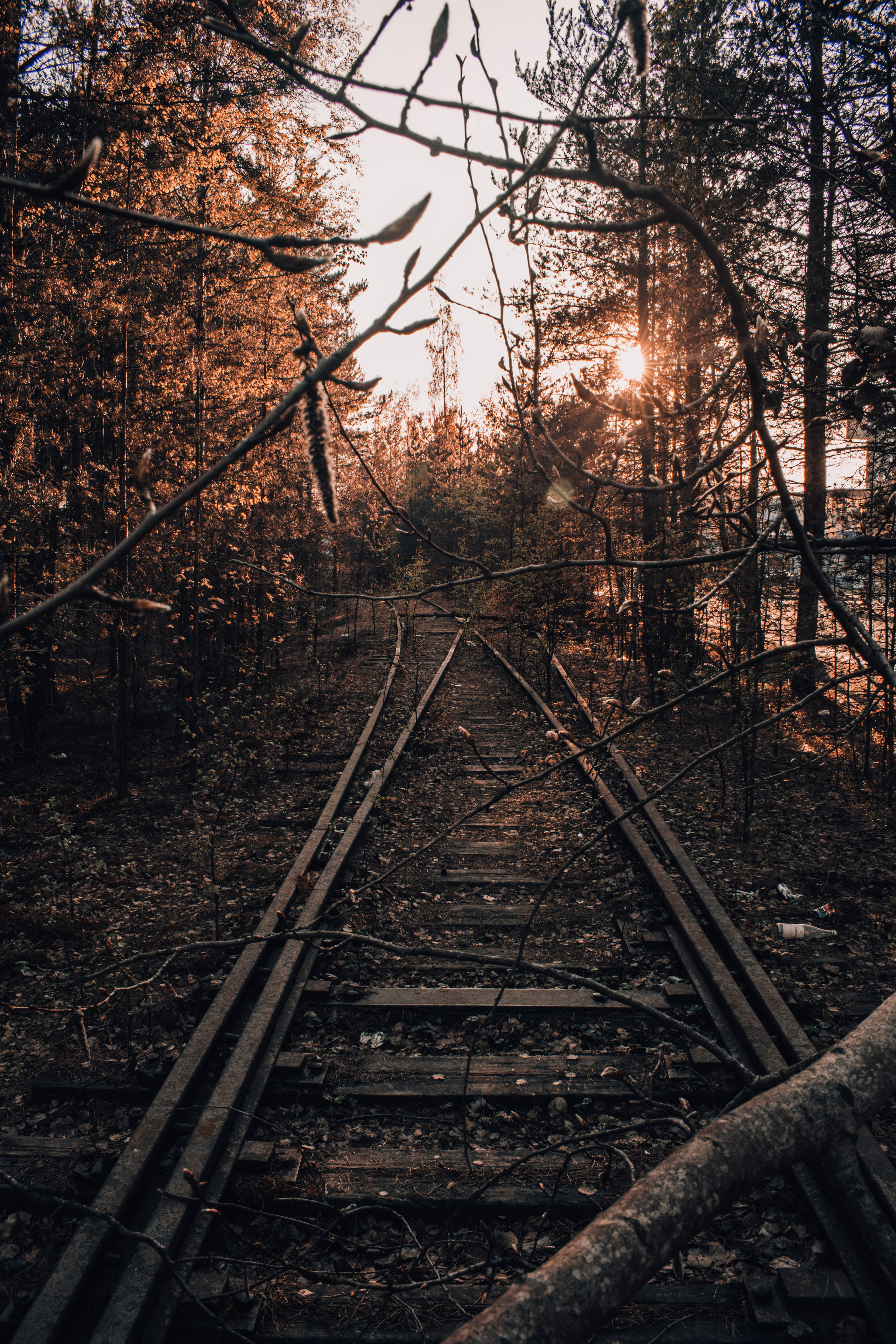 Весна 2019. Фотограф людей и животных в Санкт-Петербурге Марина Бурмистрова