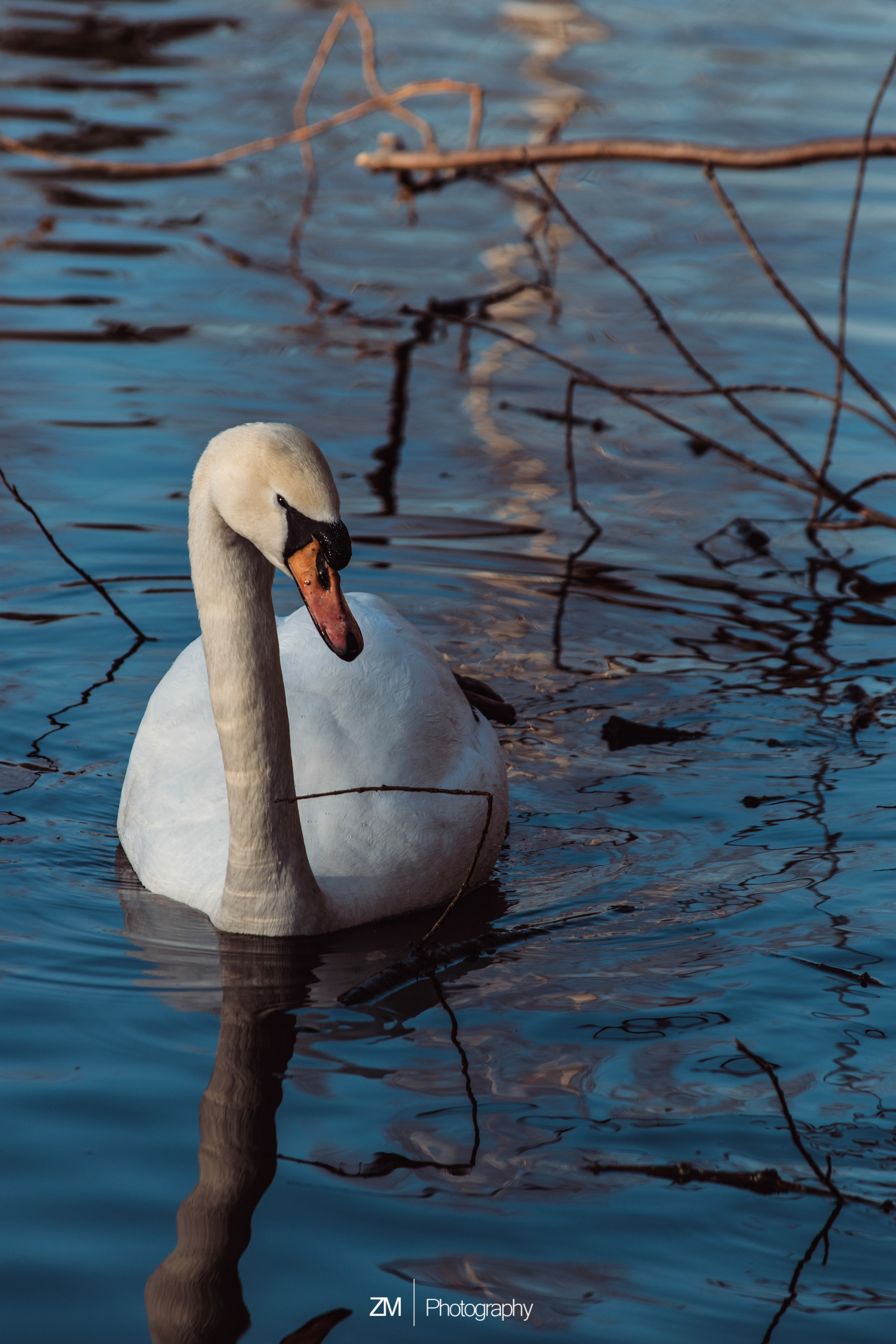 Весна 2019. Фотограф людей и животных в Санкт-Петербурге Марина Бурмистрова