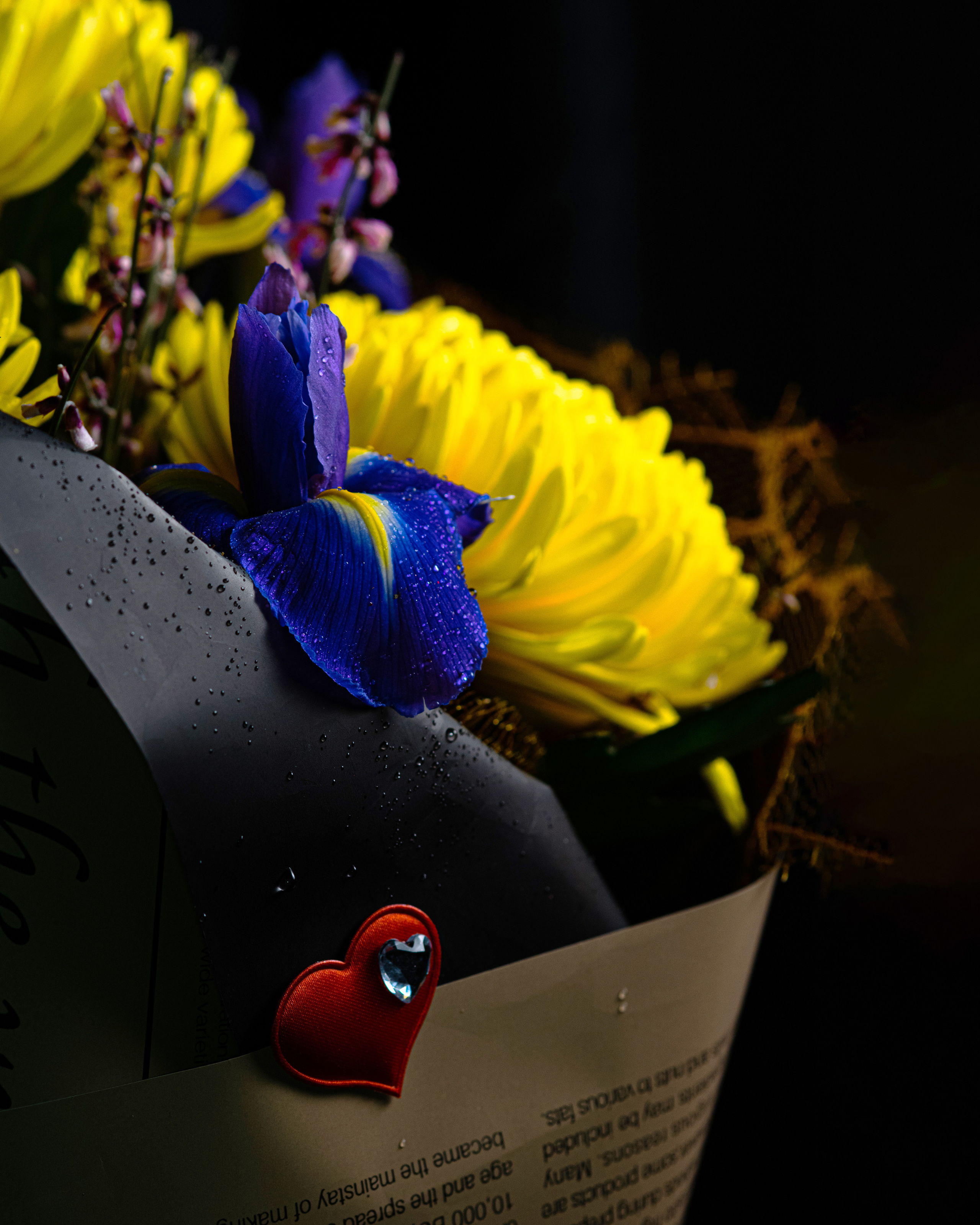 Фотографии цветов. Фотограф людей и животных в Санкт-Петербурге Марина Бурмистрова