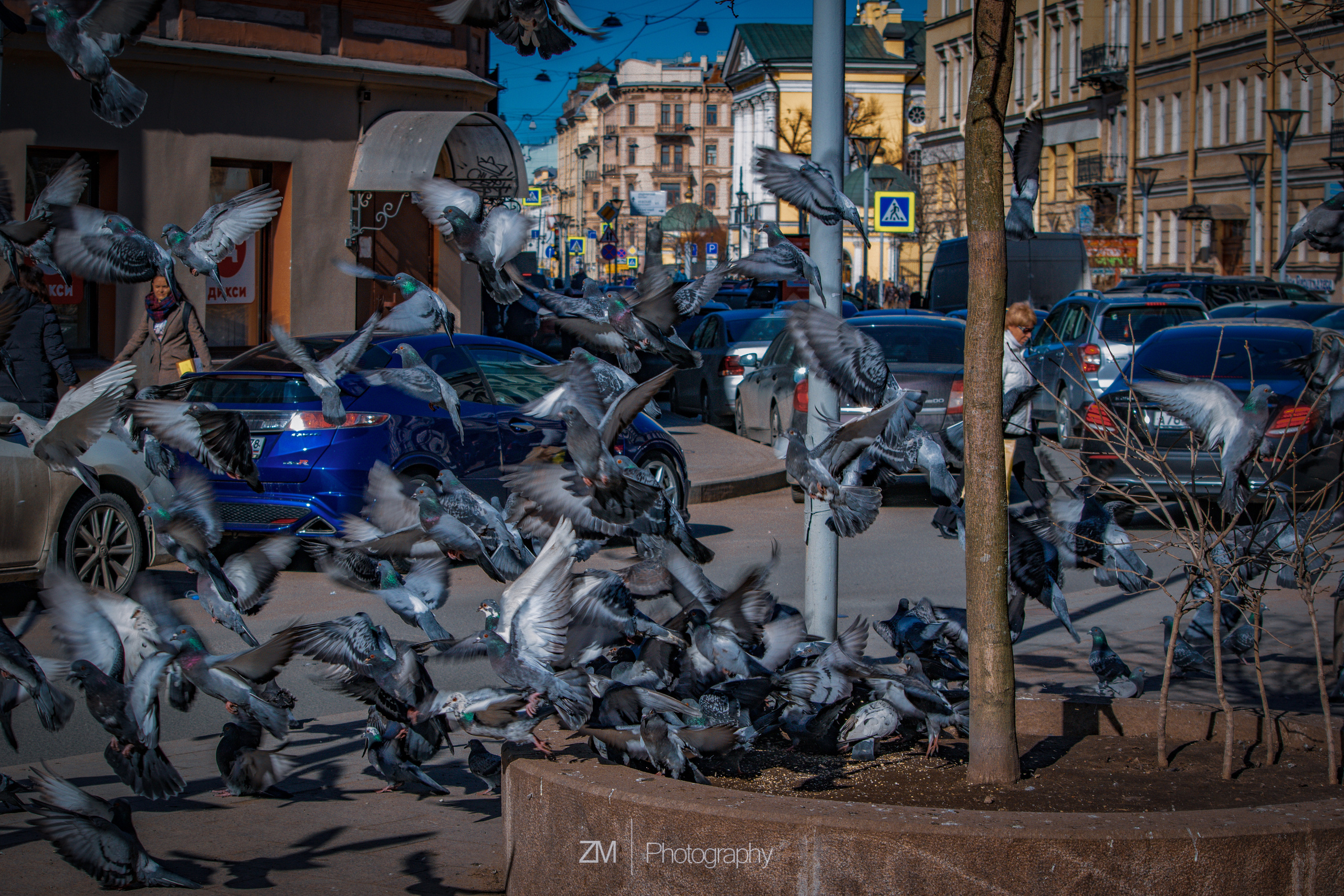 Весна 2019. Фотограф людей и животных в Санкт-Петербурге Марина Бурмистрова