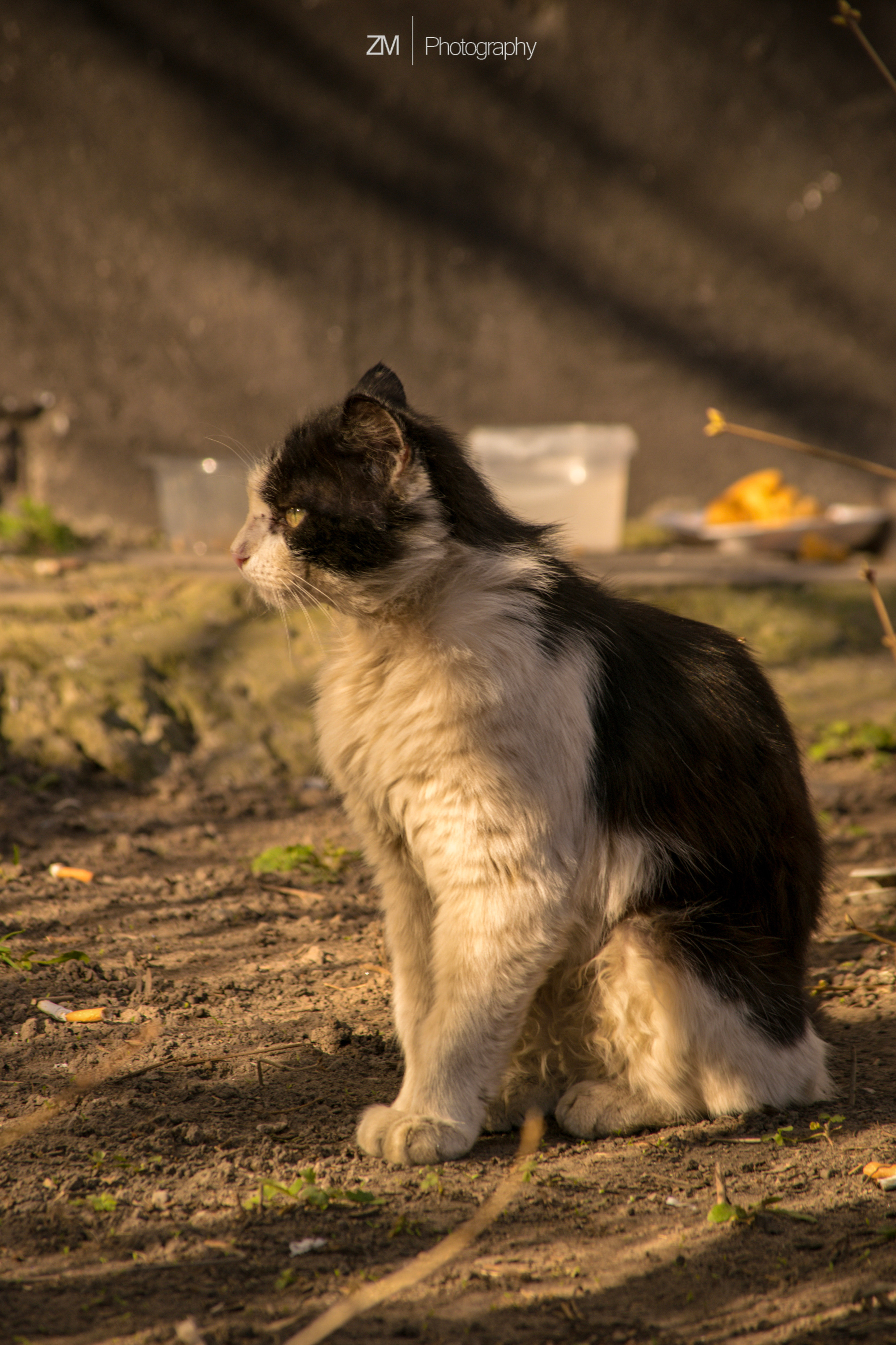 Весна 2019. Фотограф людей и животных в Санкт-Петербурге Марина Бурмистрова