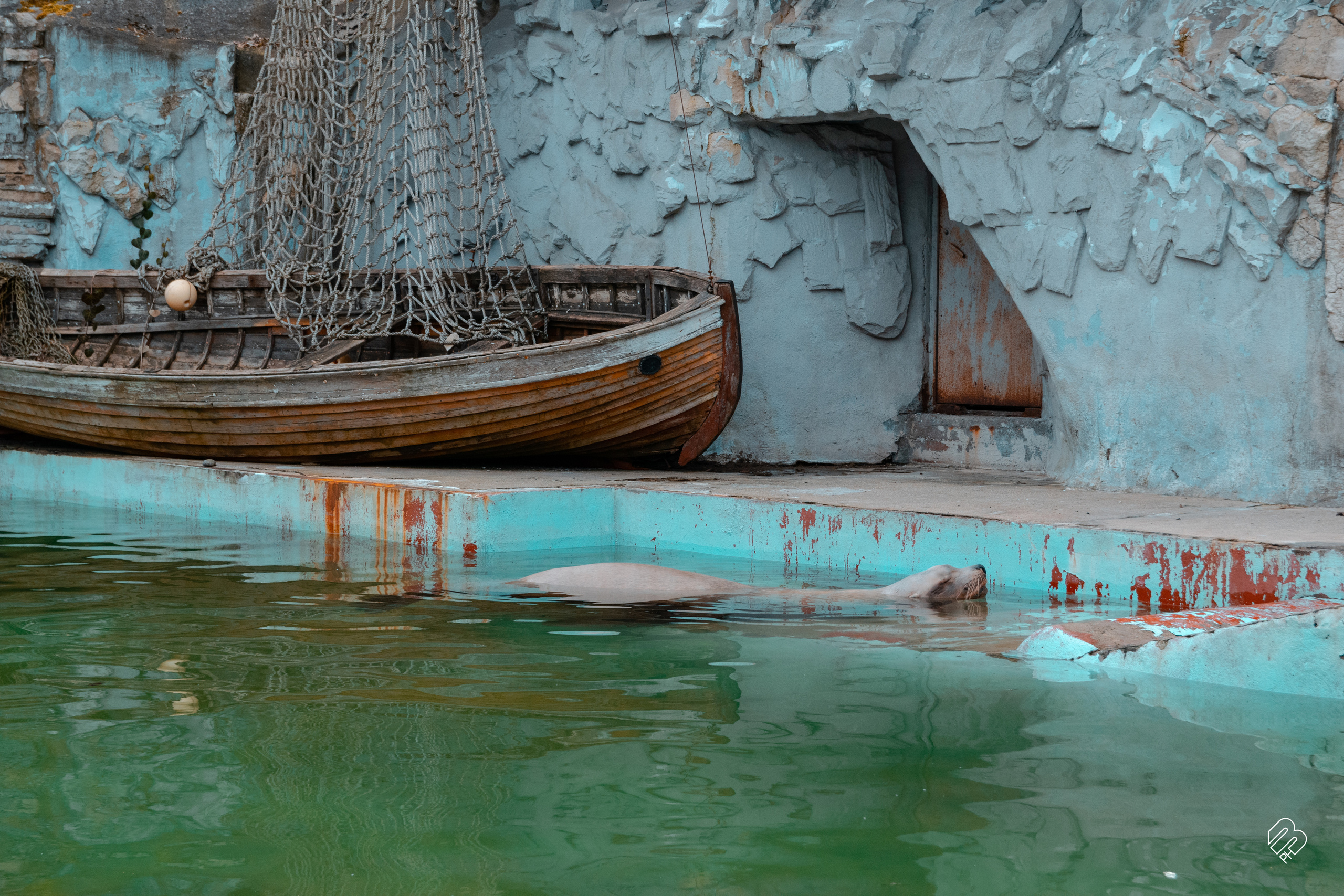 Поездка в Калининград. Фотограф людей и животных в Санкт-Петербурге Марина Бурмистрова