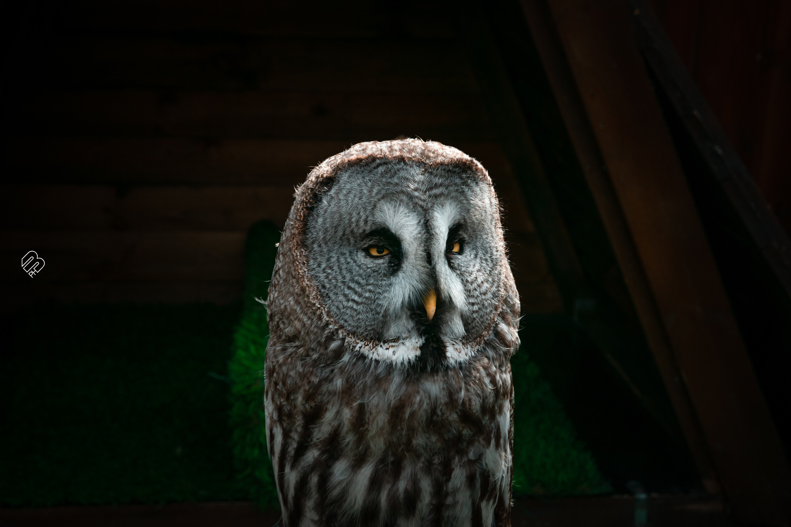 Поездка в Калининград. Фотограф людей и животных в Санкт-Петербурге Марина Бурмистрова