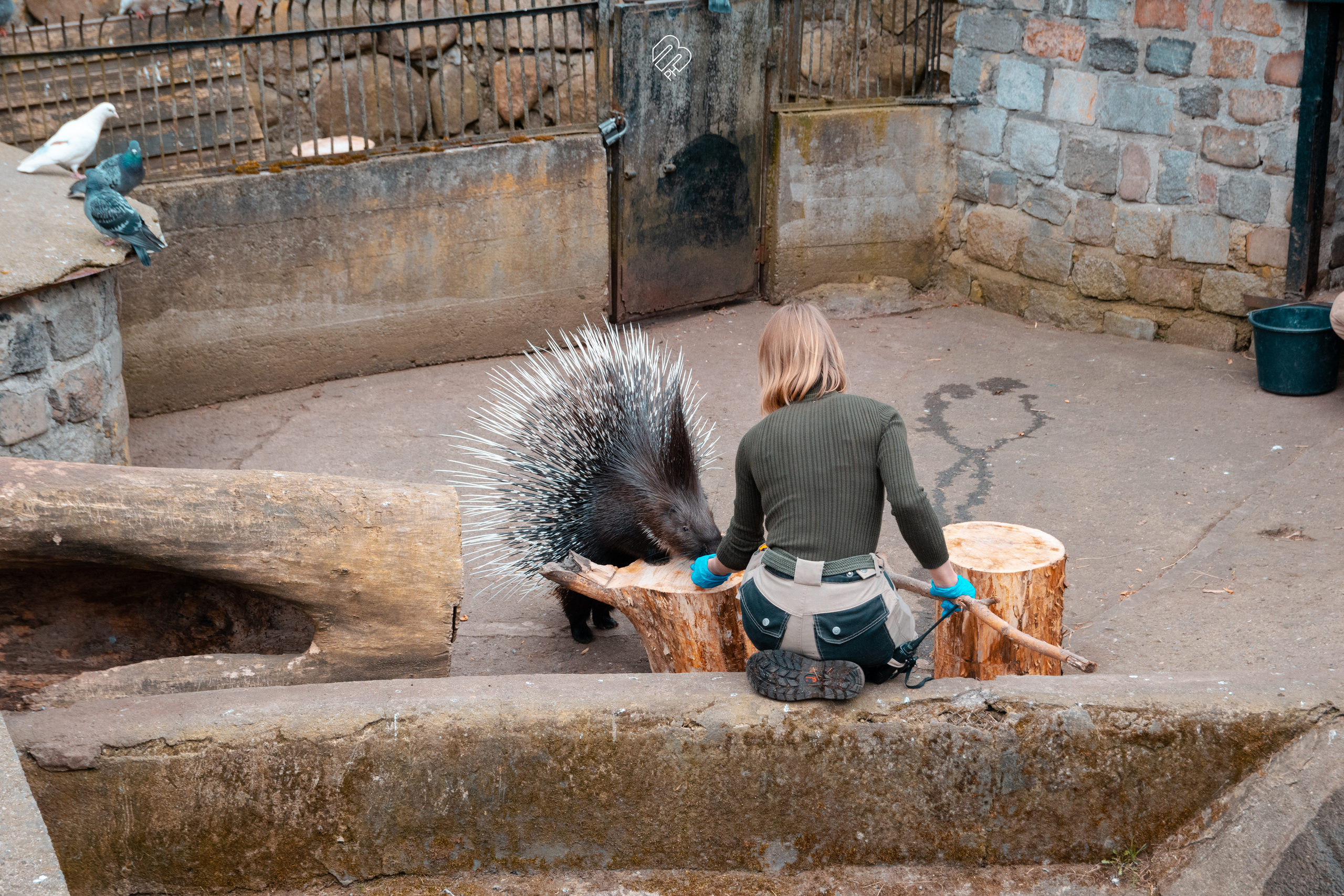 Фотосъемка животных в зоопарке. Фотограф людей и животных в Санкт-Петербурге Марина Бурмистрова