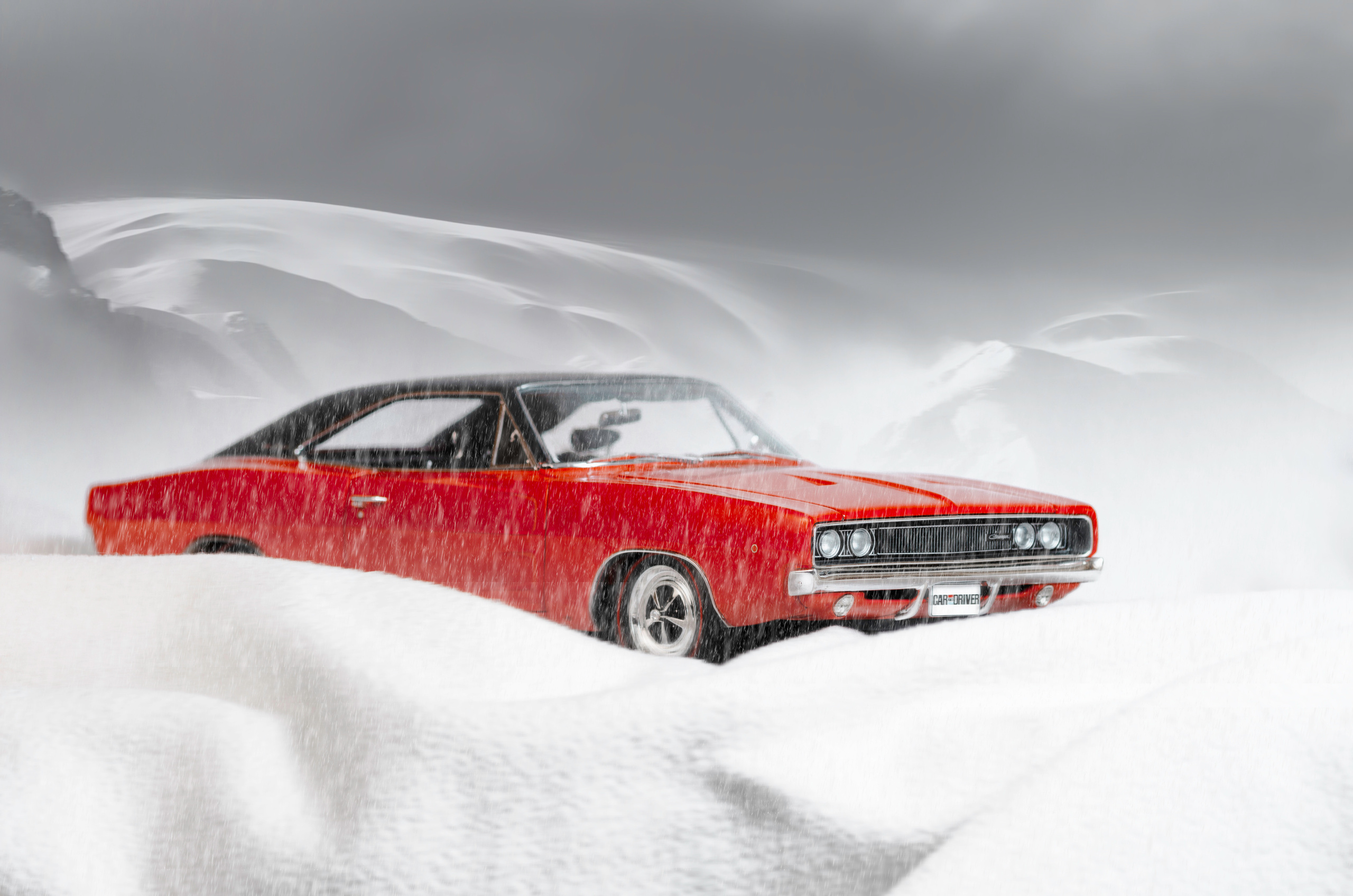 Увлечение съемкой моделей машин. Фотограф людей и животных в Санкт-Петербурге Марина Бурмистрова