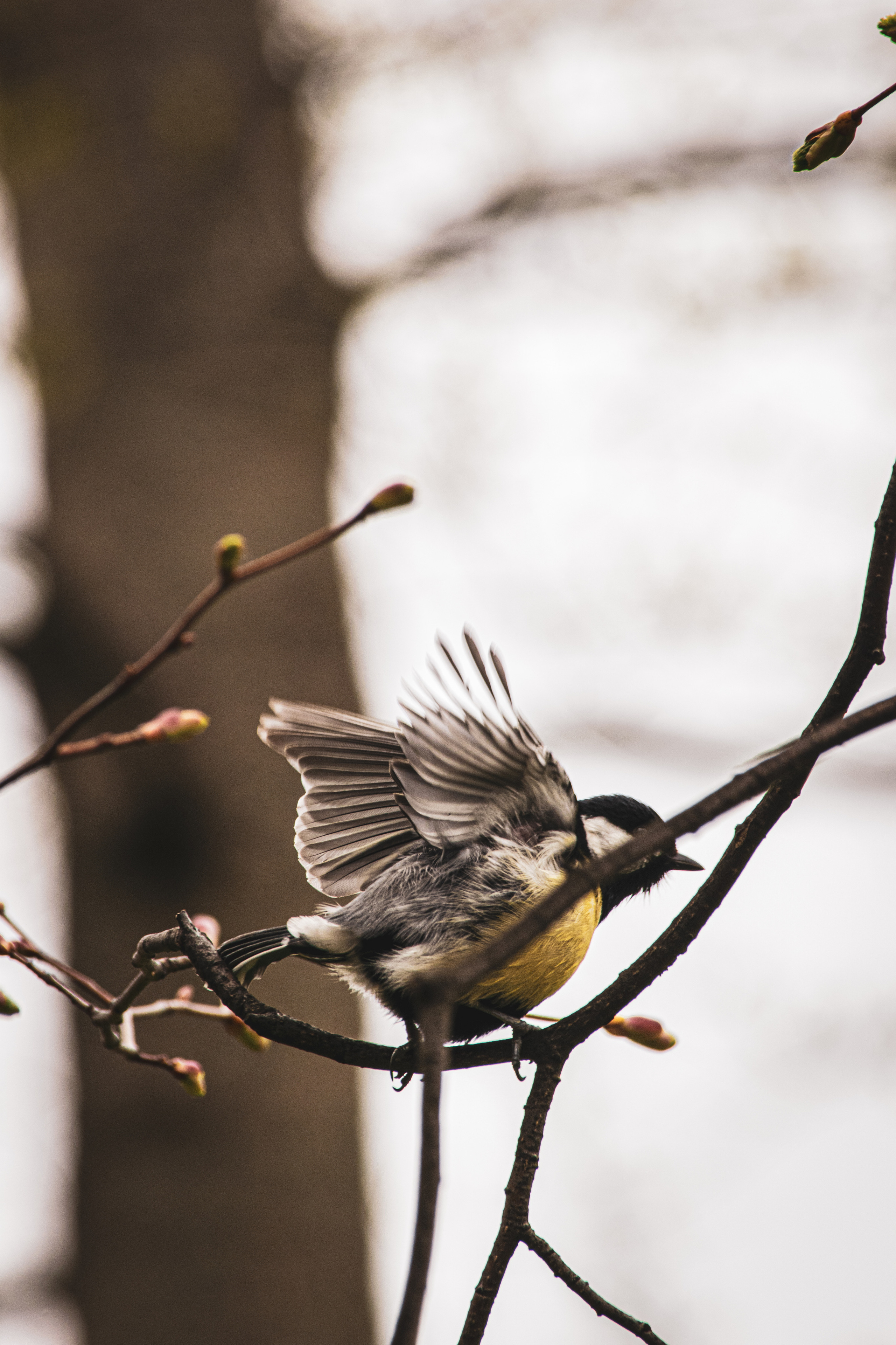 Весна 2019. Фотограф людей и животных в Санкт-Петербурге Марина Бурмистрова