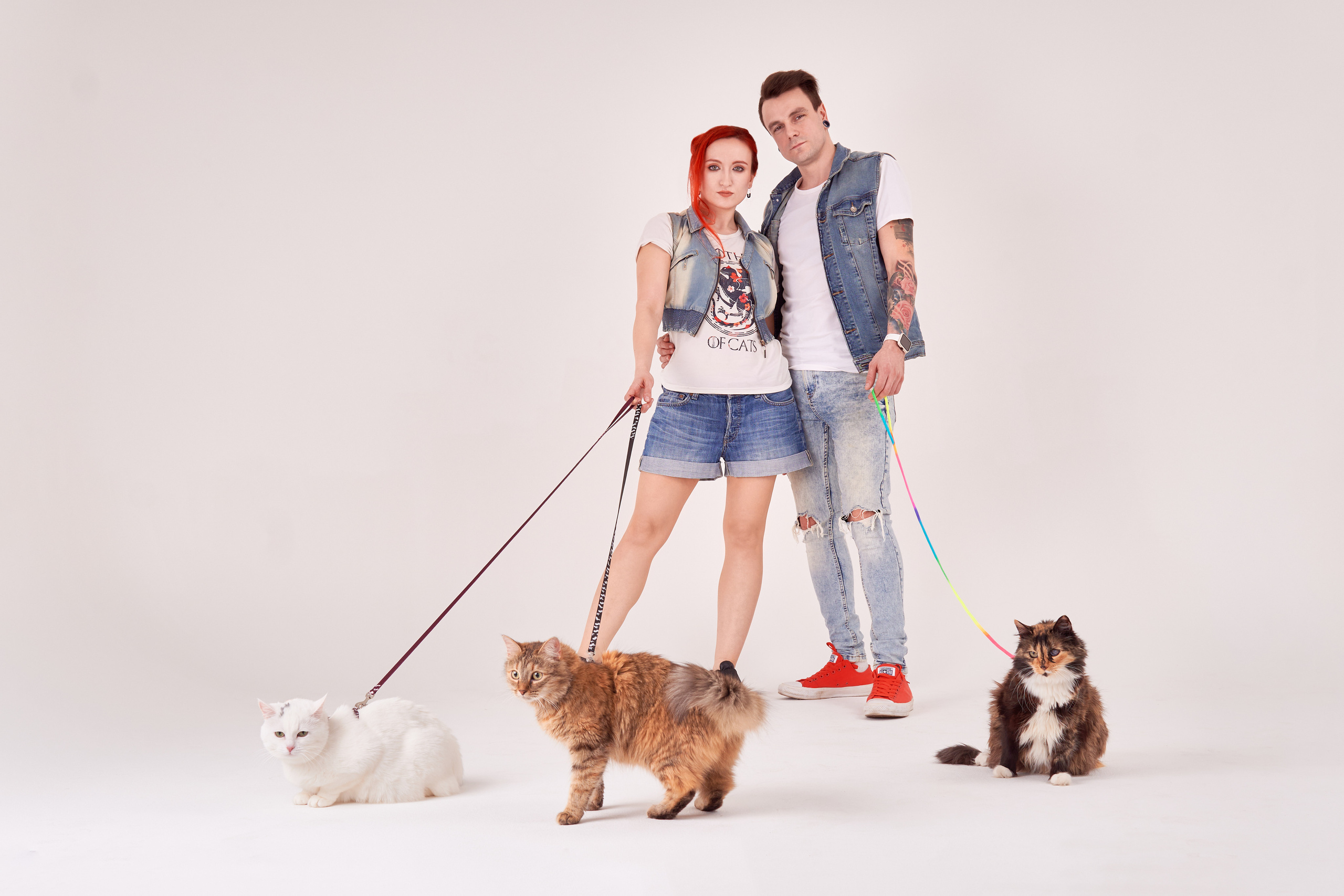 оригинальная фотосессия с кошками на циклораме на белом фоне в джинсовом образе