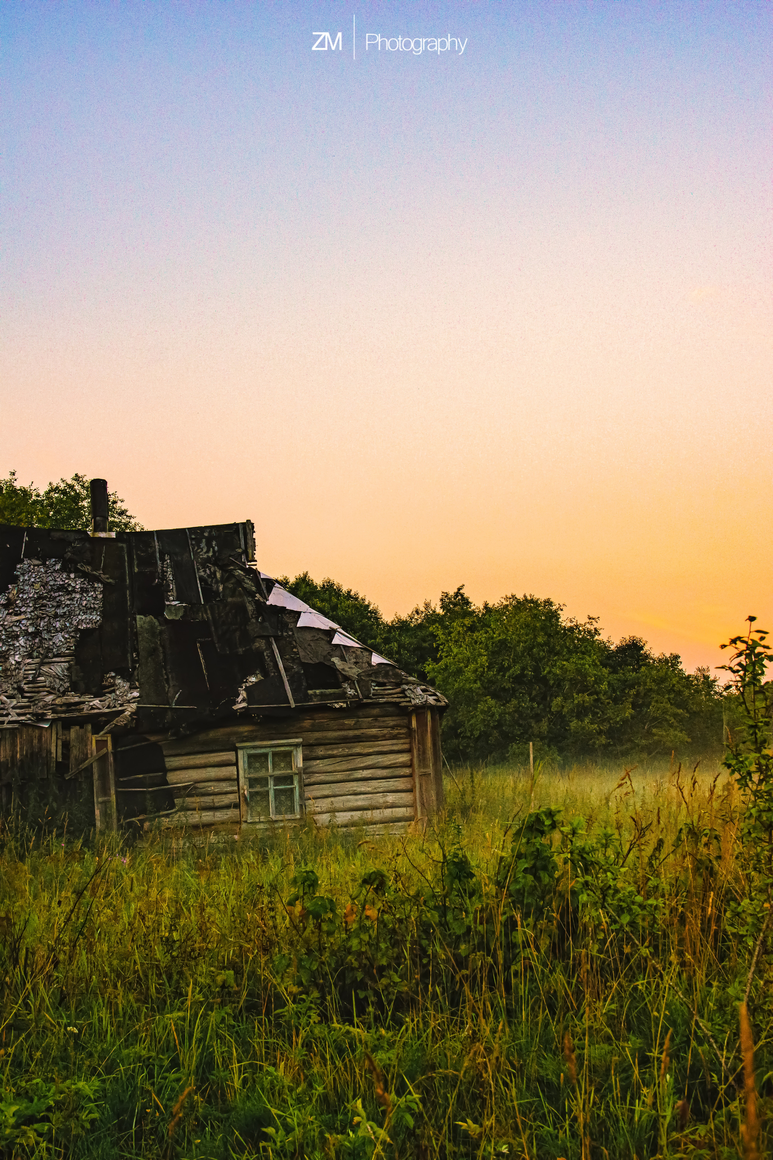 Туманные поля. Фотограф людей и животных в Санкт-Петербурге Марина Бурмистрова