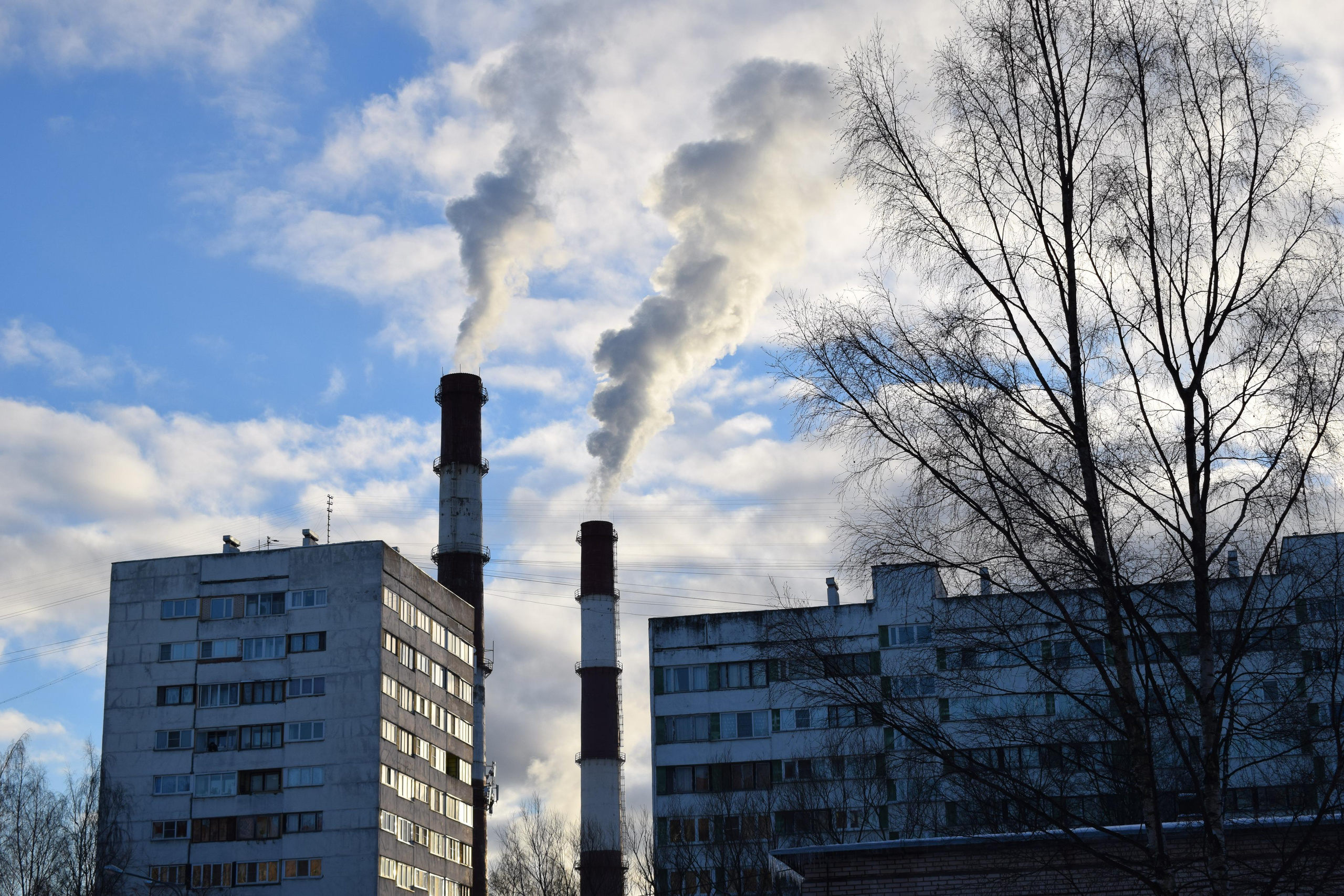 Первые кадры на первую «зеркалку». Фотограф людей и животных в Санкт-Петербурге Марина Бурмистрова